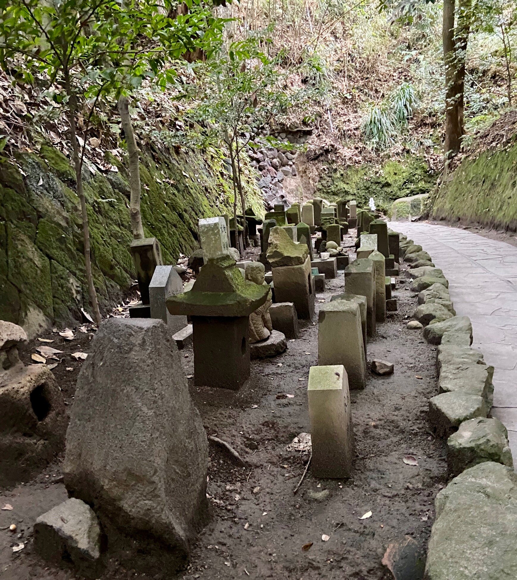 Terukuni Shrine in Kagoshima behind the grove.jpg