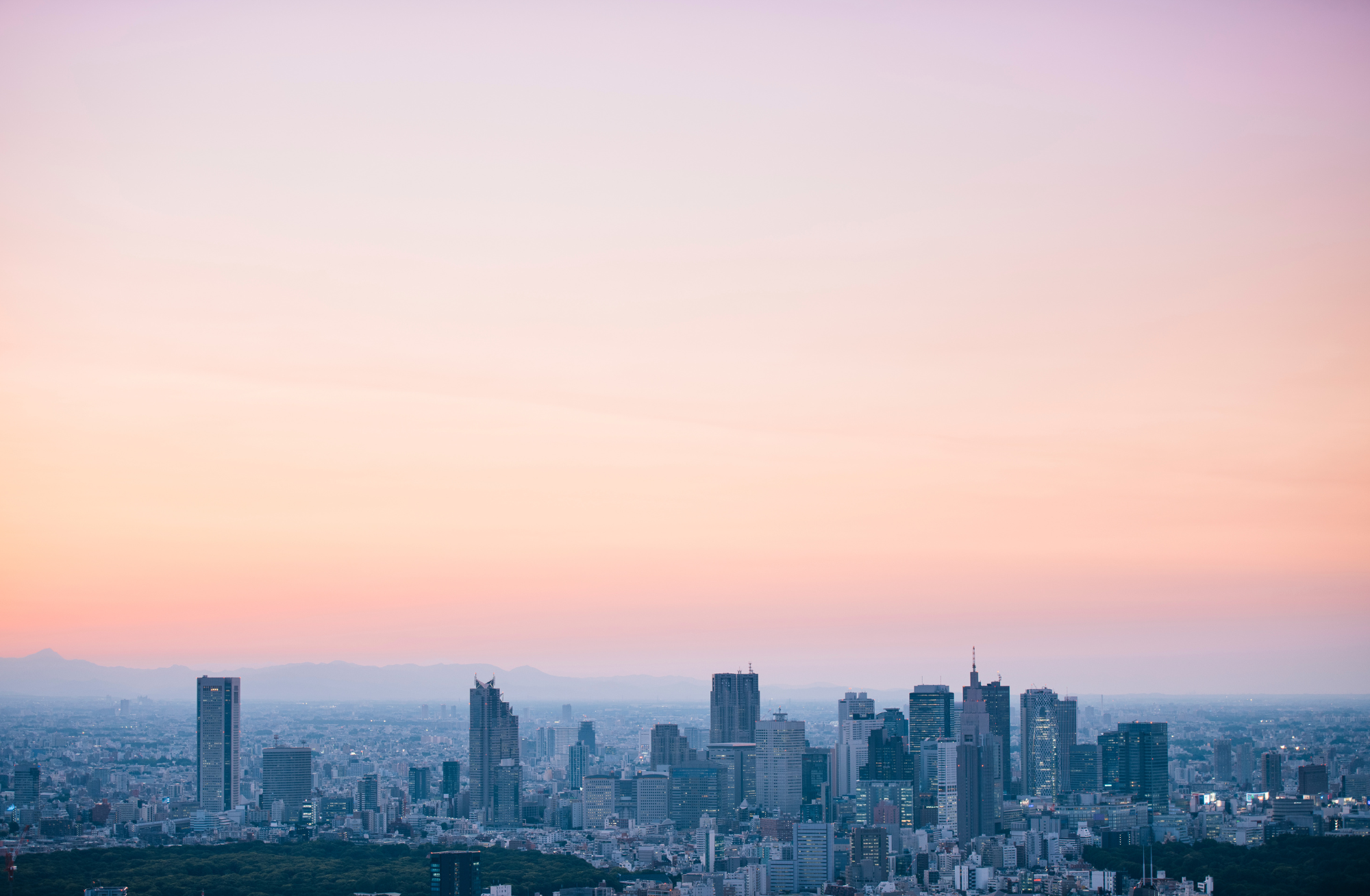 Navigating the Real Estate Landscape: Appreciation vs. Return on Investment