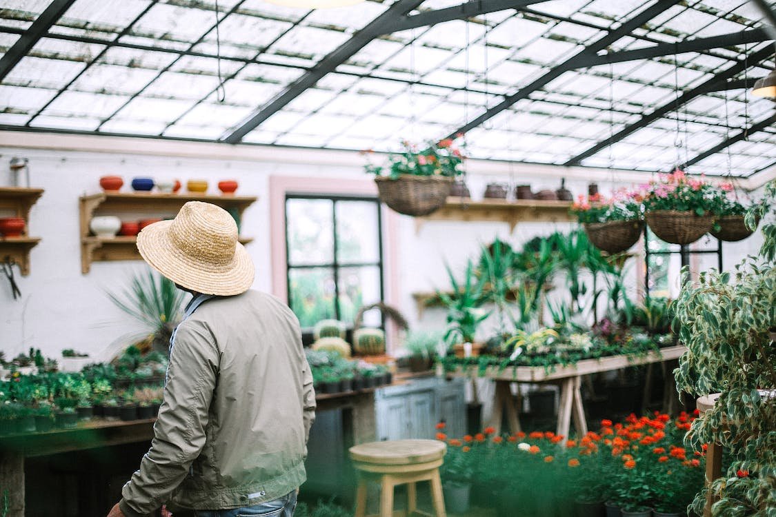 The Benefits of Community Gardens in Urban Properties