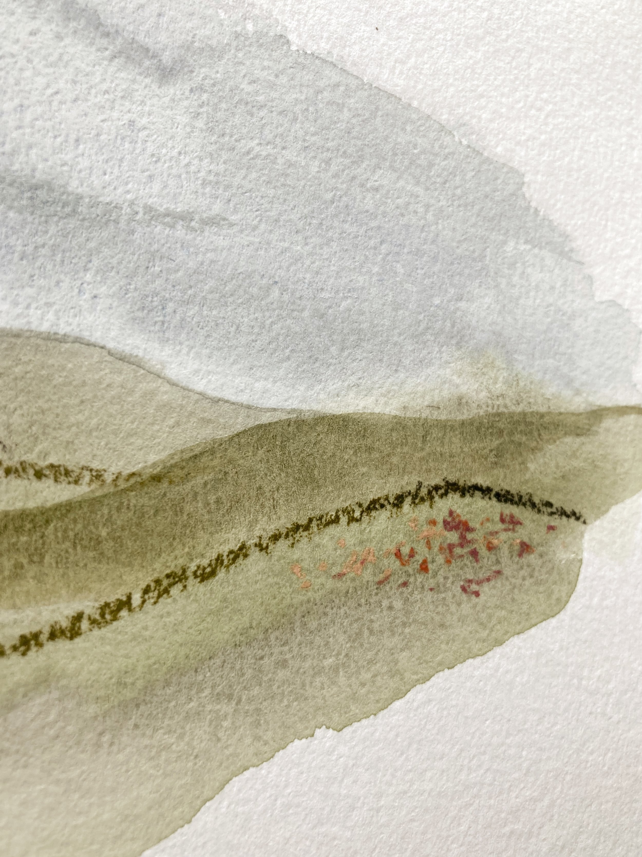 wildflowers5.jpeg