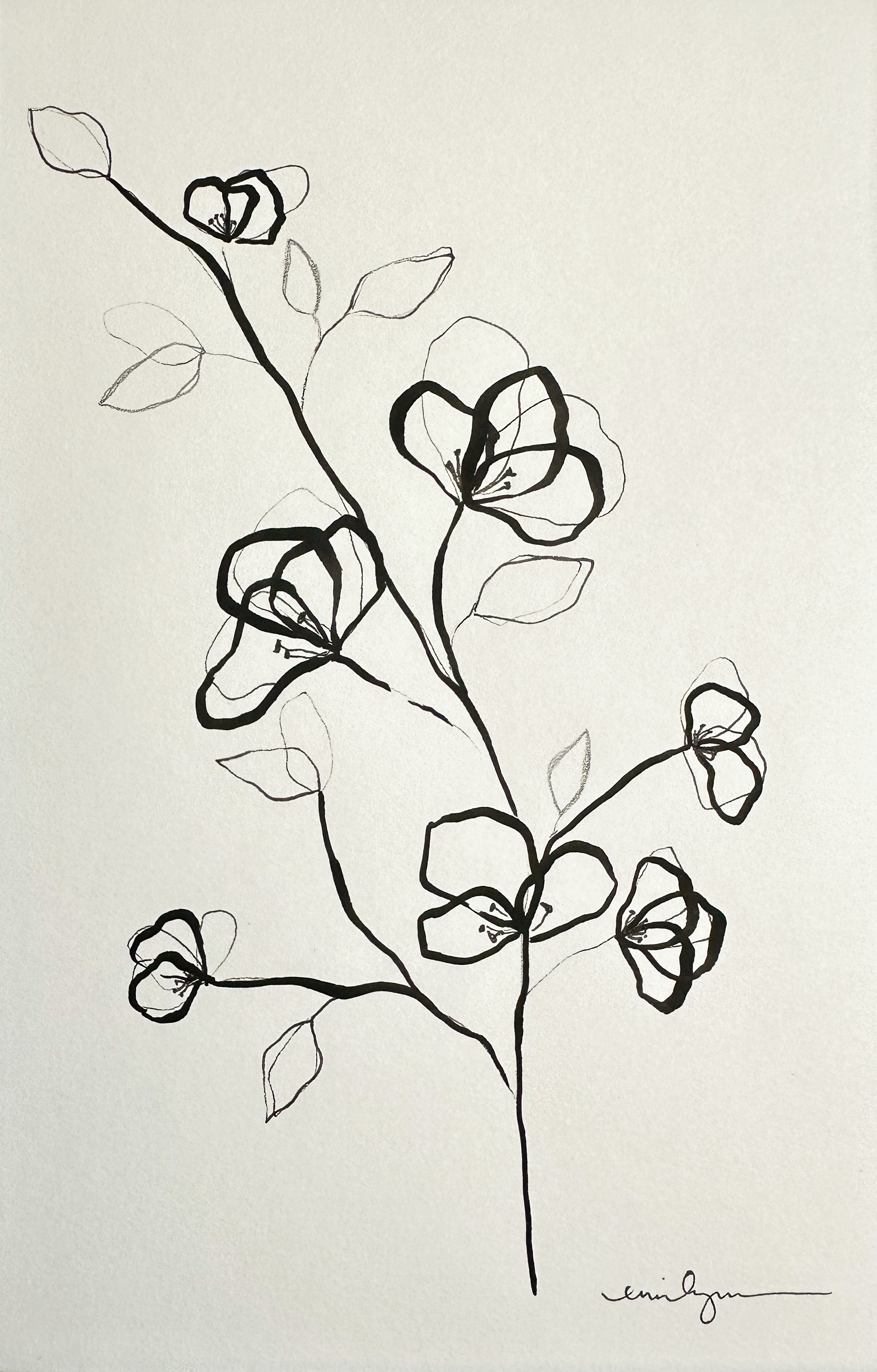 Katelyn Floral Sketch