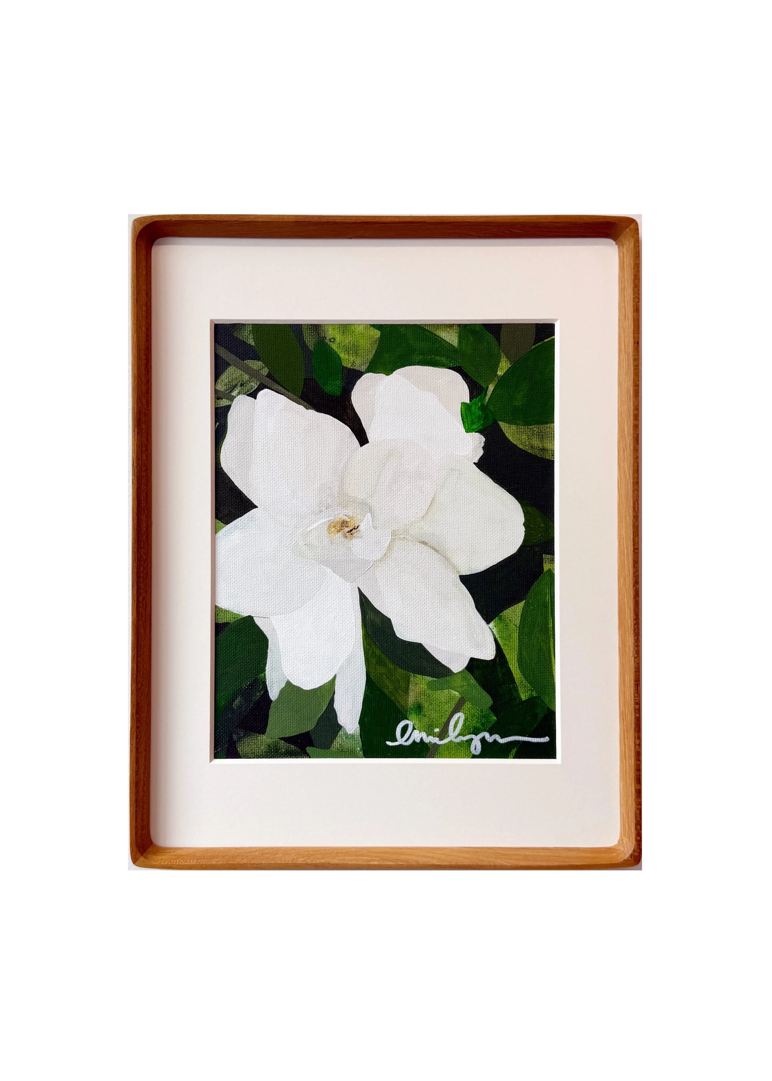 MyfavoriteGardenia.wbg.jpg