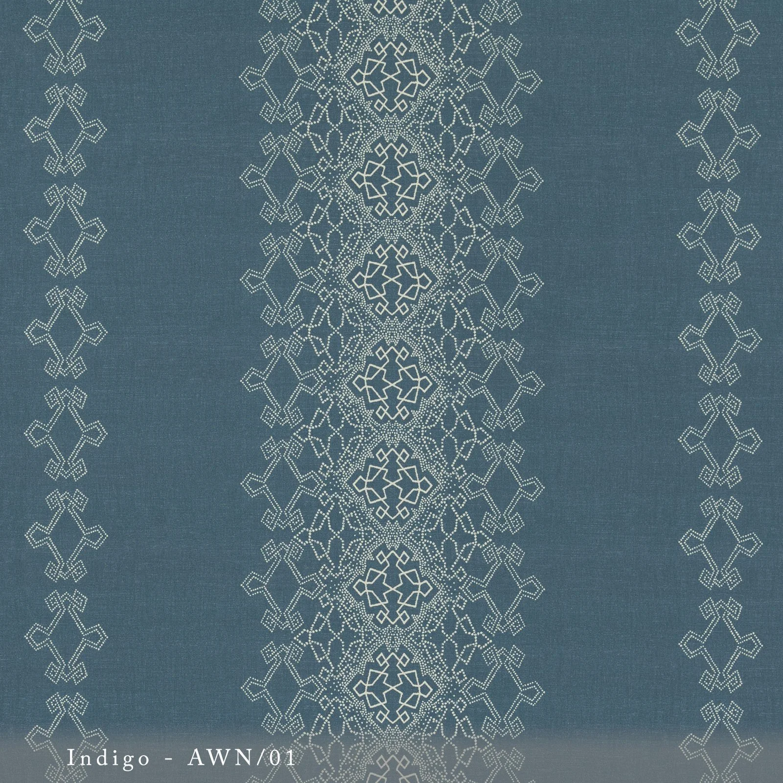 AWN01.jpg