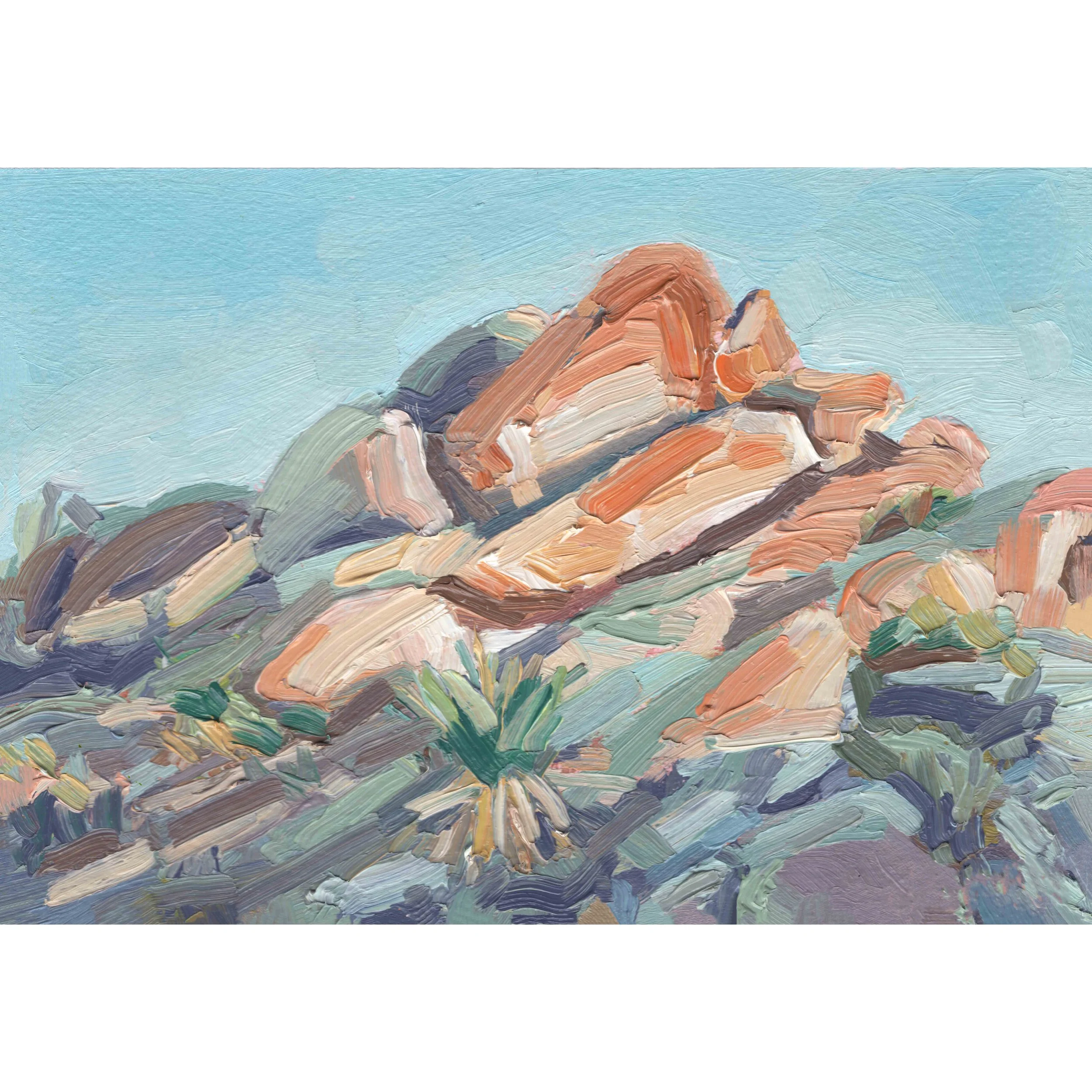 Sun Setting Over Joshua Tree