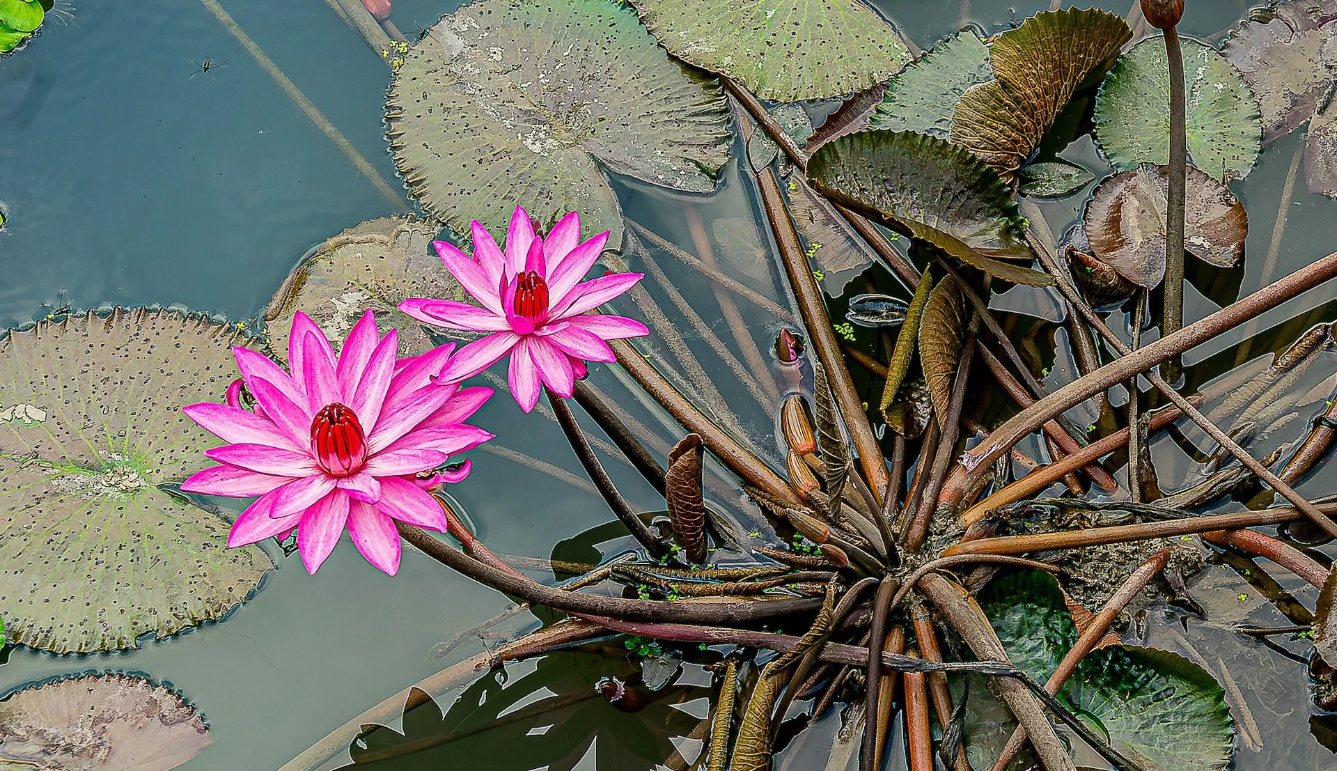 DSC04712.jpg