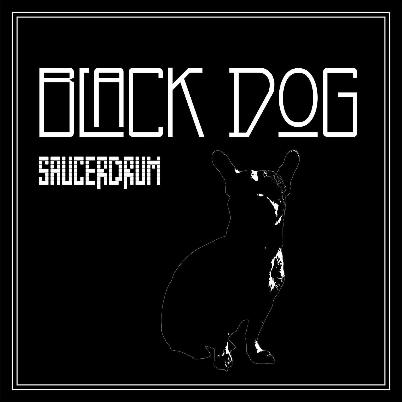 My remix of Led Zeppelin&rsquo;s Black Dog is only available on Soundcloud. Check it! #ledzeppelin #remix #remixes #saucerdrum #house #housemusic #midtempo #110bpm