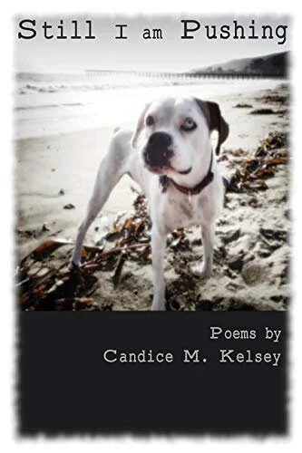 Still I Am Pushing | Discover Poetry—Join the Movement — Candice M. Kelsey