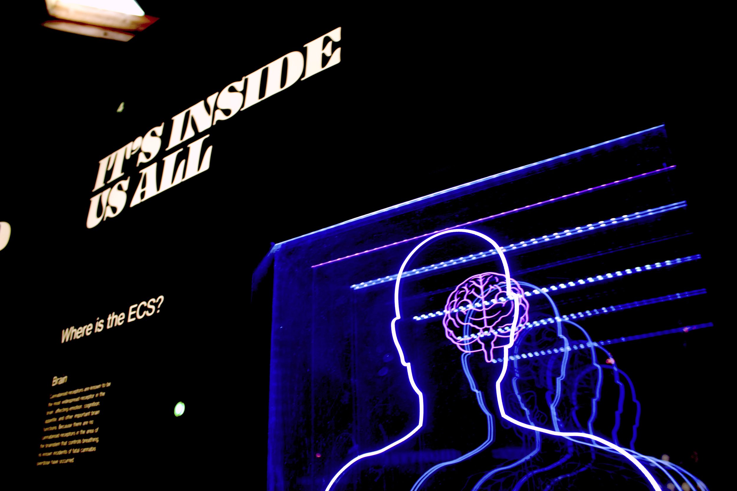 How to turn your present moment thoughts into your future reality