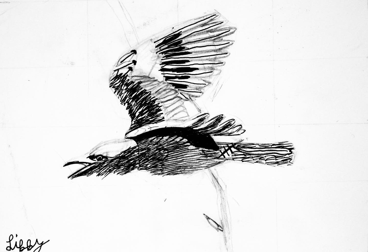 &ldquo;Fly Fly Fly Bird!&rdquo; Pen Drawing
Artist: Libby Driggs, age 9
.
.
.
#pen #pendrawing #drawing #penandink #penandinkdrawing #instaart #art #artclass #artstudent #utahart #utahartist #sydneybowmanartclass #flybird #birdflying #bird #flying