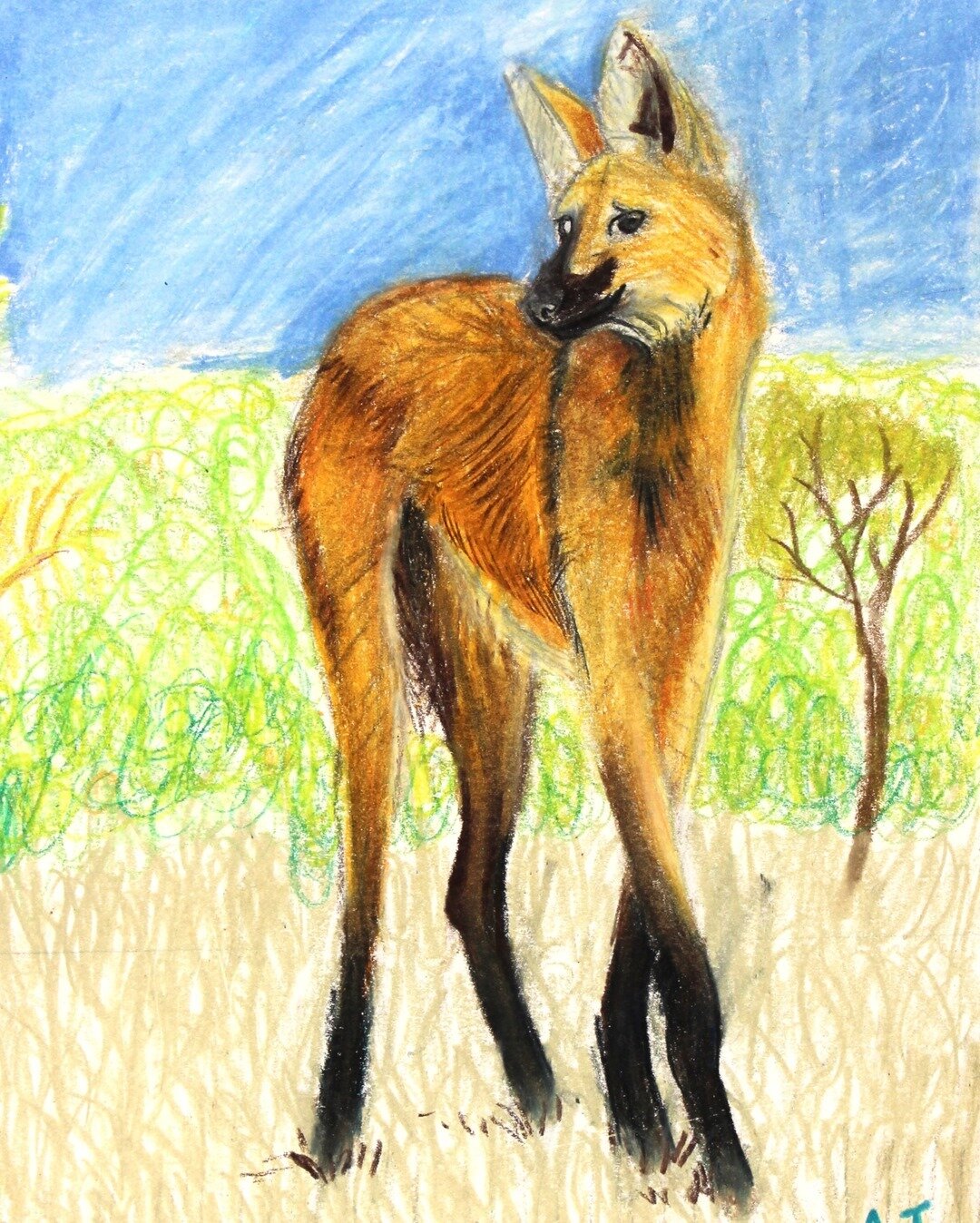 &quot;Fox, Wolf, Deer?&quot; Prismacolor Drawing⠀⠀⠀⠀⠀⠀⠀⠀⠀
Artist: Alice Johnson, age 11⠀⠀⠀⠀⠀⠀⠀⠀⠀
.⠀⠀⠀⠀⠀⠀⠀⠀⠀
.⠀⠀⠀⠀⠀⠀⠀⠀⠀
.⠀⠀⠀⠀⠀⠀⠀⠀⠀
#animalart #animaldrawing #prismacolor #prismacolordrawing #drawing #prismacolorpremier #instaart #art #artclass #artstu