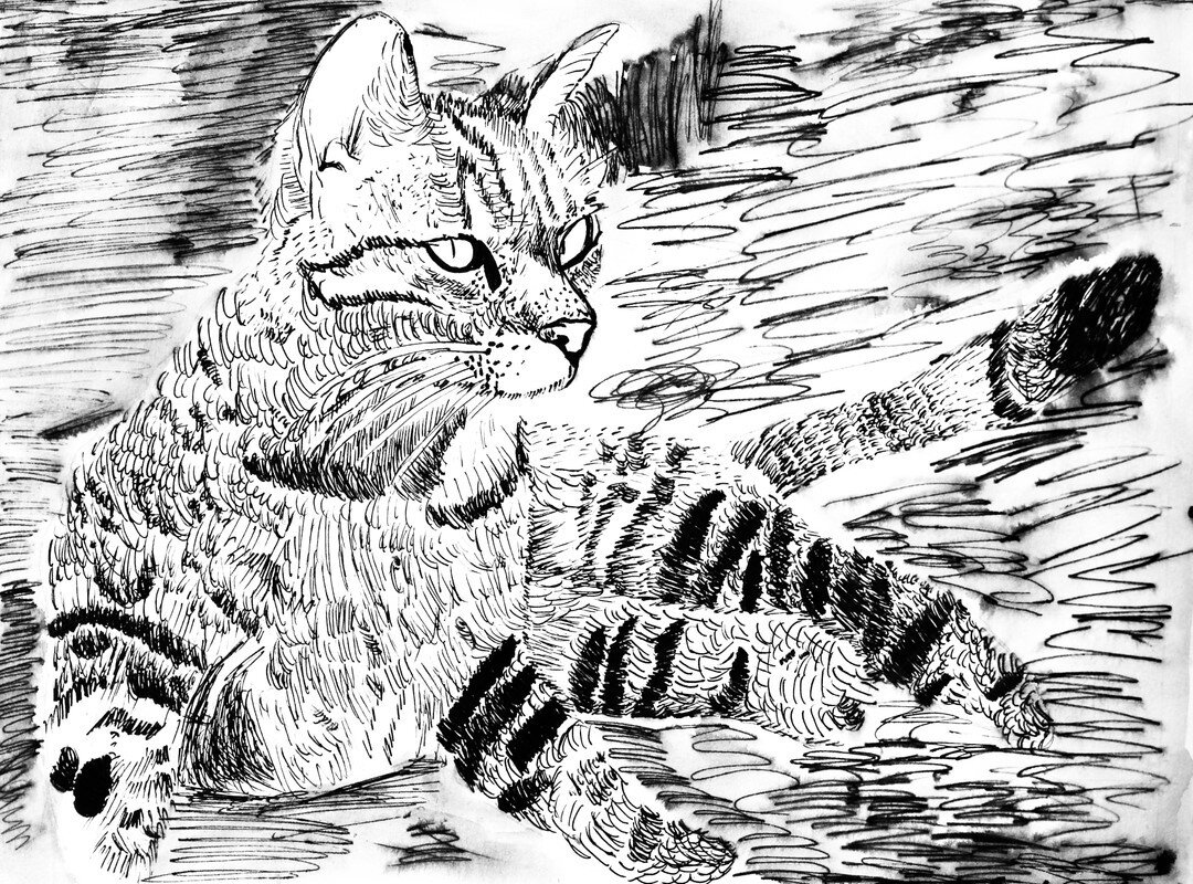 &quot;Cat&quot; Pen &amp; Ink Drawing⠀⠀⠀⠀⠀⠀⠀⠀⠀
Artist: Samaya Butler, age 8⠀⠀⠀⠀⠀⠀⠀⠀⠀
.⠀⠀⠀⠀⠀⠀⠀⠀⠀
.⠀⠀⠀⠀⠀⠀⠀⠀⠀
.⠀⠀⠀⠀⠀⠀⠀⠀⠀
#catdrawing #catart #cat #kitty #pen #pendrawing #drawing #penandink #penandinkdrawing #instaart #art #artclass #artstudent #utahart