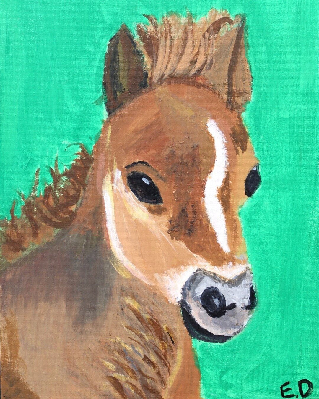 &quot;Baby Horse&quot; Acrylic Painting⠀⠀⠀⠀⠀⠀⠀⠀⠀
Artist: Elsie Drysdale, age 10⠀⠀⠀⠀⠀⠀⠀⠀⠀
#horsepainting #horseacrylic #babyhorse #acrylic #painting #acrylicpainting #instaart #art #artclass #artstudent #utahart #utahartist #sydneybowmanartclass
