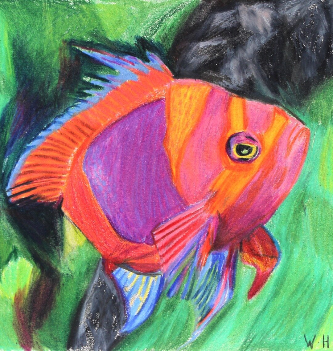 &quot;Deep Blue&quot; Prismacolor Drawing⠀⠀⠀⠀⠀⠀⠀⠀⠀
Artist: Weston Holtby, age 14⠀⠀⠀⠀⠀⠀⠀⠀⠀
.⠀⠀⠀⠀⠀⠀⠀⠀⠀
.⠀⠀⠀⠀⠀⠀⠀⠀⠀
.⠀⠀⠀⠀⠀⠀⠀⠀⠀
#deepbluesea #fishinthesea #fish #brightcoloredfish #fishart #fishdrawing #prismacolor #prismacolordrawing #drawing #prismacolo
