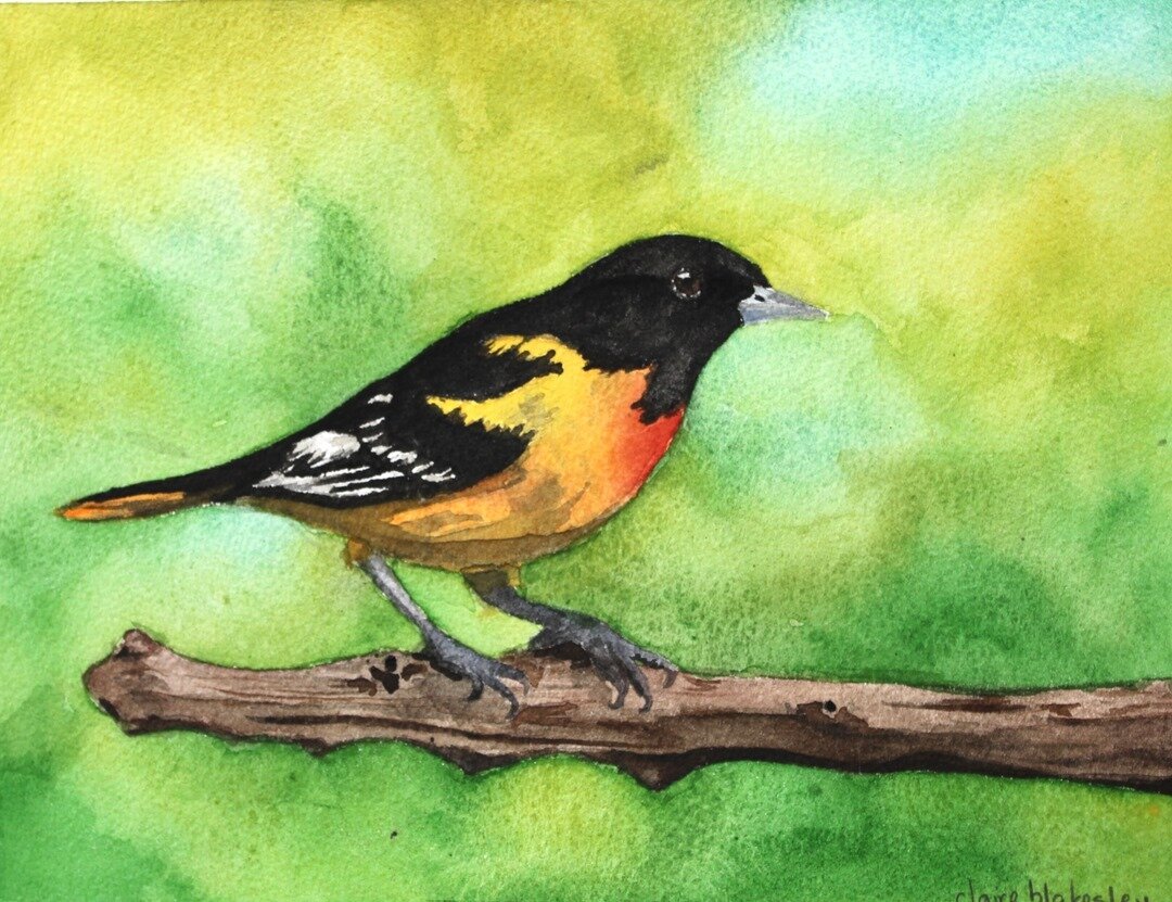&quot;Bird&quot; Watercolor Painting⠀⠀⠀⠀⠀⠀⠀⠀⠀
Artist: Claire Blakesley, age 12⠀⠀⠀⠀⠀⠀⠀⠀⠀
.⠀⠀⠀⠀⠀⠀⠀⠀⠀
.⠀⠀⠀⠀⠀⠀⠀⠀⠀
.⠀⠀⠀⠀⠀⠀⠀⠀⠀
#birdpainting #bird #birdart #watercolor #watercolorpainting #painting #instaart #art #artclass #artstudent #utahart #utahartist 