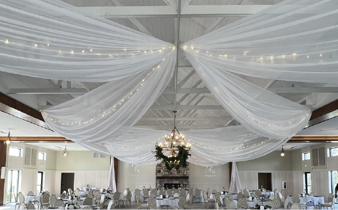 Vertical Drape and Twinkle Lights