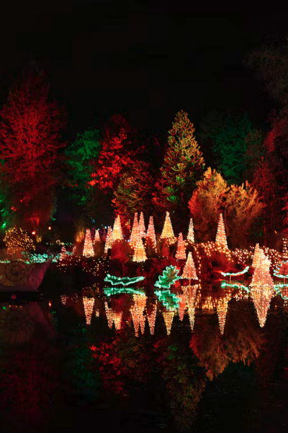 phos-holiday-inspiration-outdoor-holiday-light-landscape.png