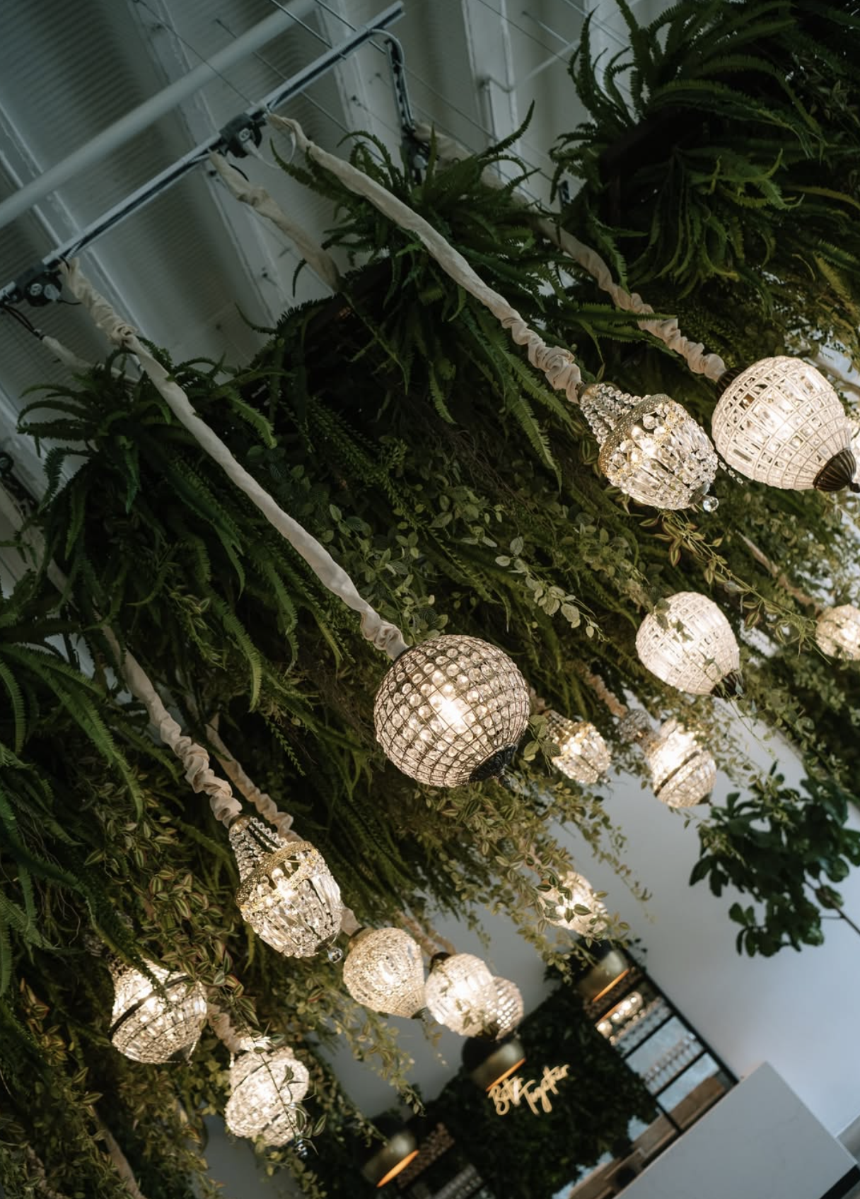 Screenshot 2026-02-12 at 11.26.02 AM.png