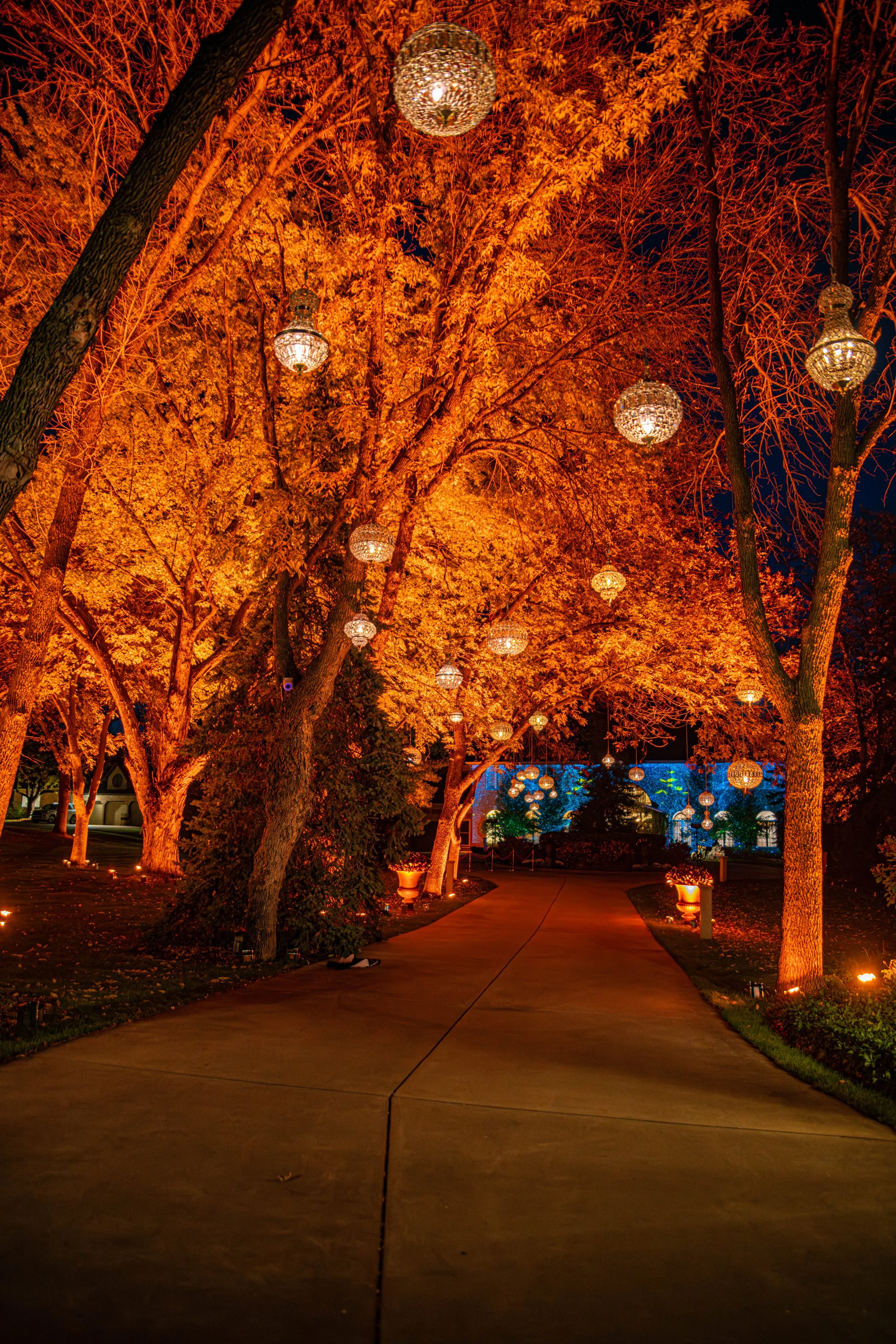 2025_Fall Starkey-4465.jpg