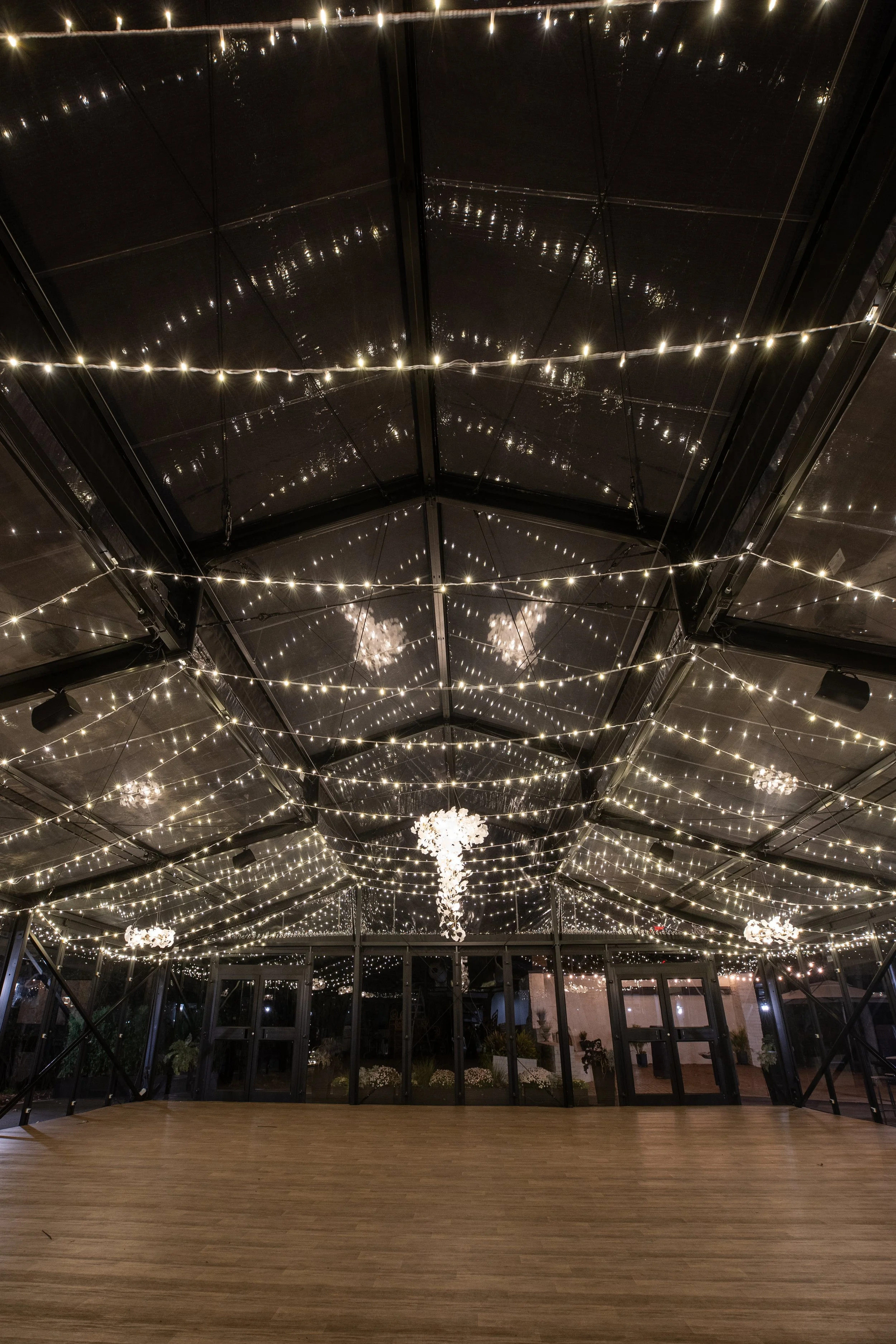 Billy K &amp_ Woodland Glasshaus-0248.jpg
