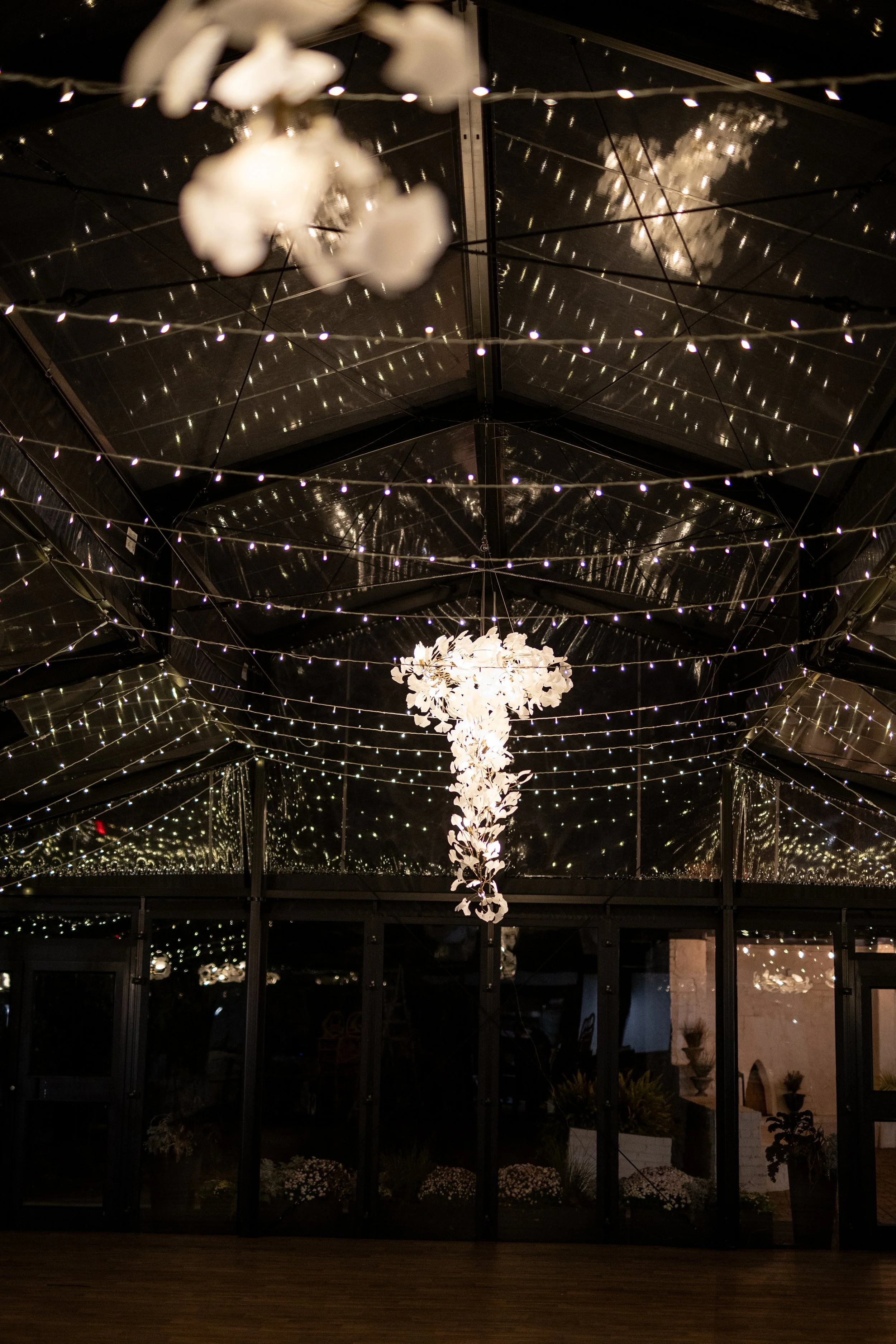 Billy K &amp_ Woodland Glasshaus-0257.jpg