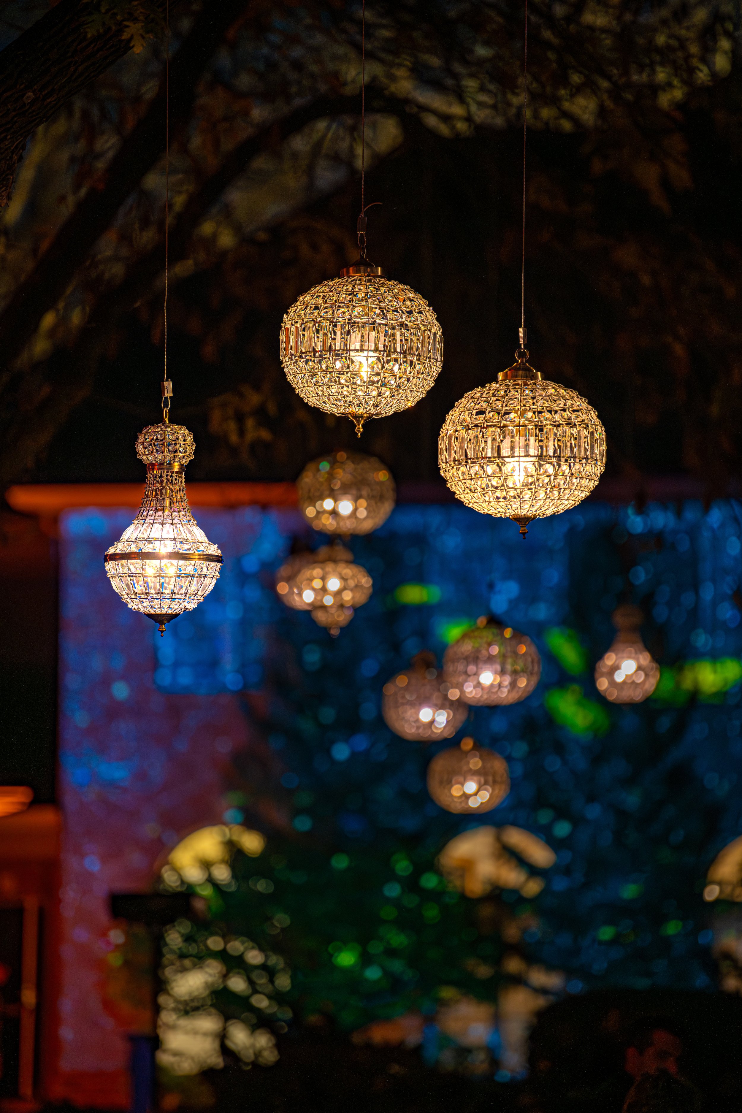 2025_Fall Starkey-4455.jpg