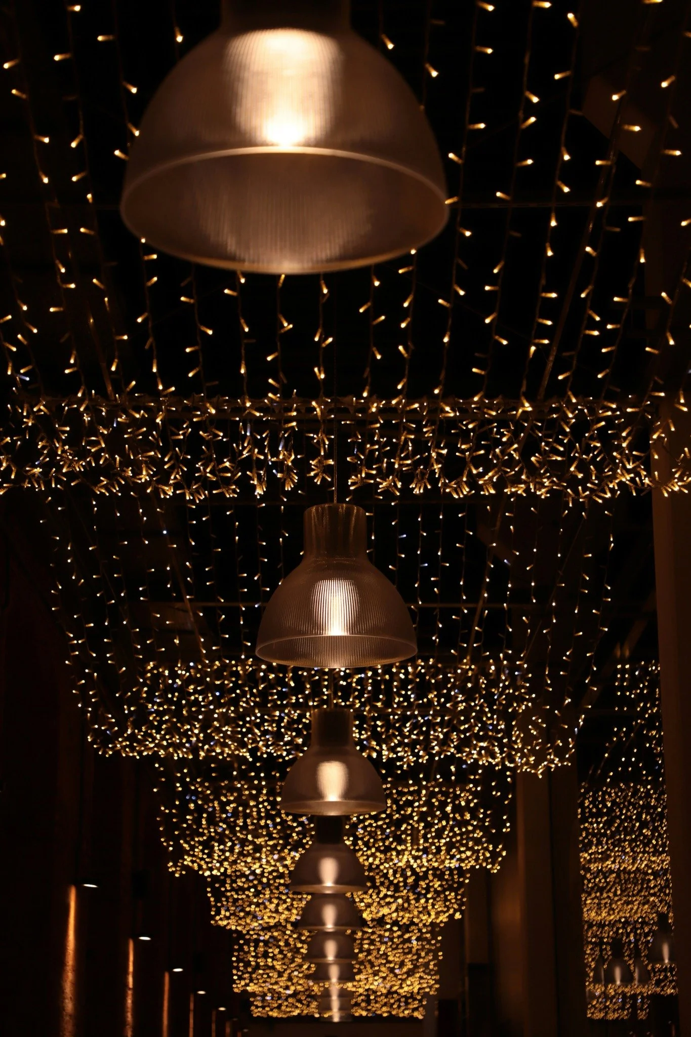 phos-holiday-inspiration-interior-ceiling-string-lights.jpg