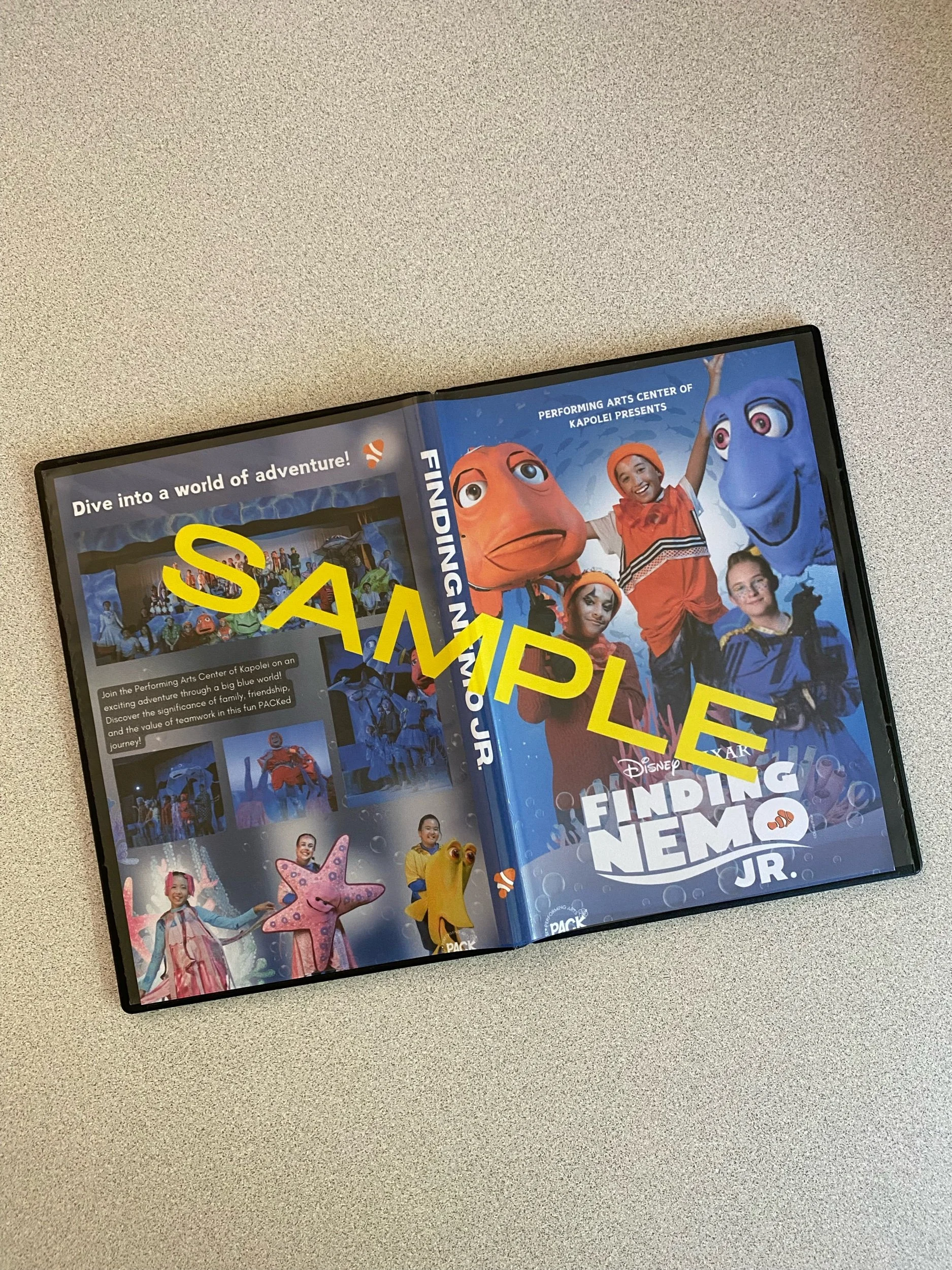 DVD & USB Finding Nemo Jr