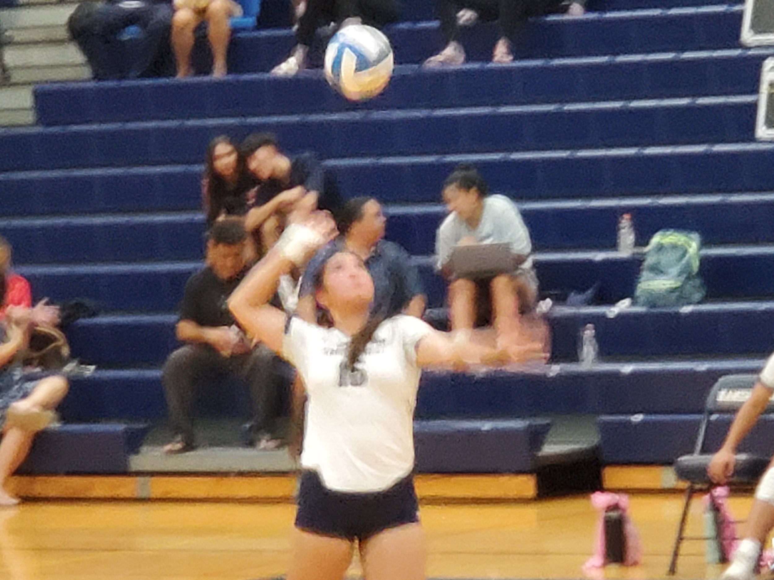 20261001_183142.jpg