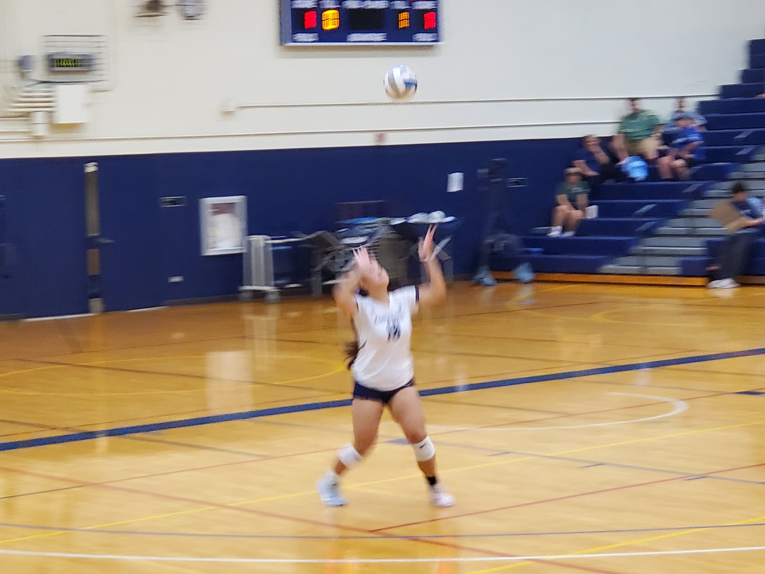 20261001_194721.jpg