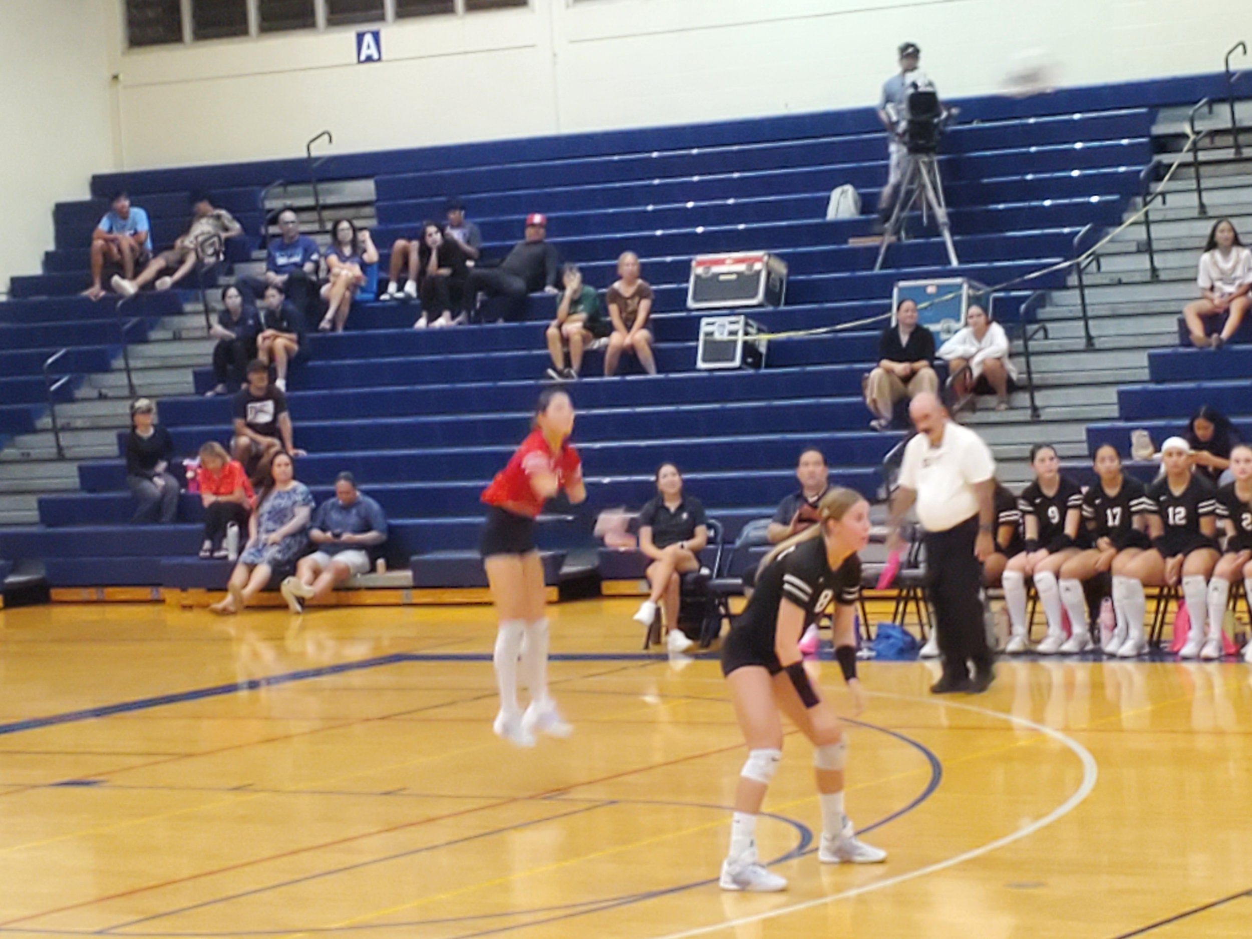 20261001_201121.jpg