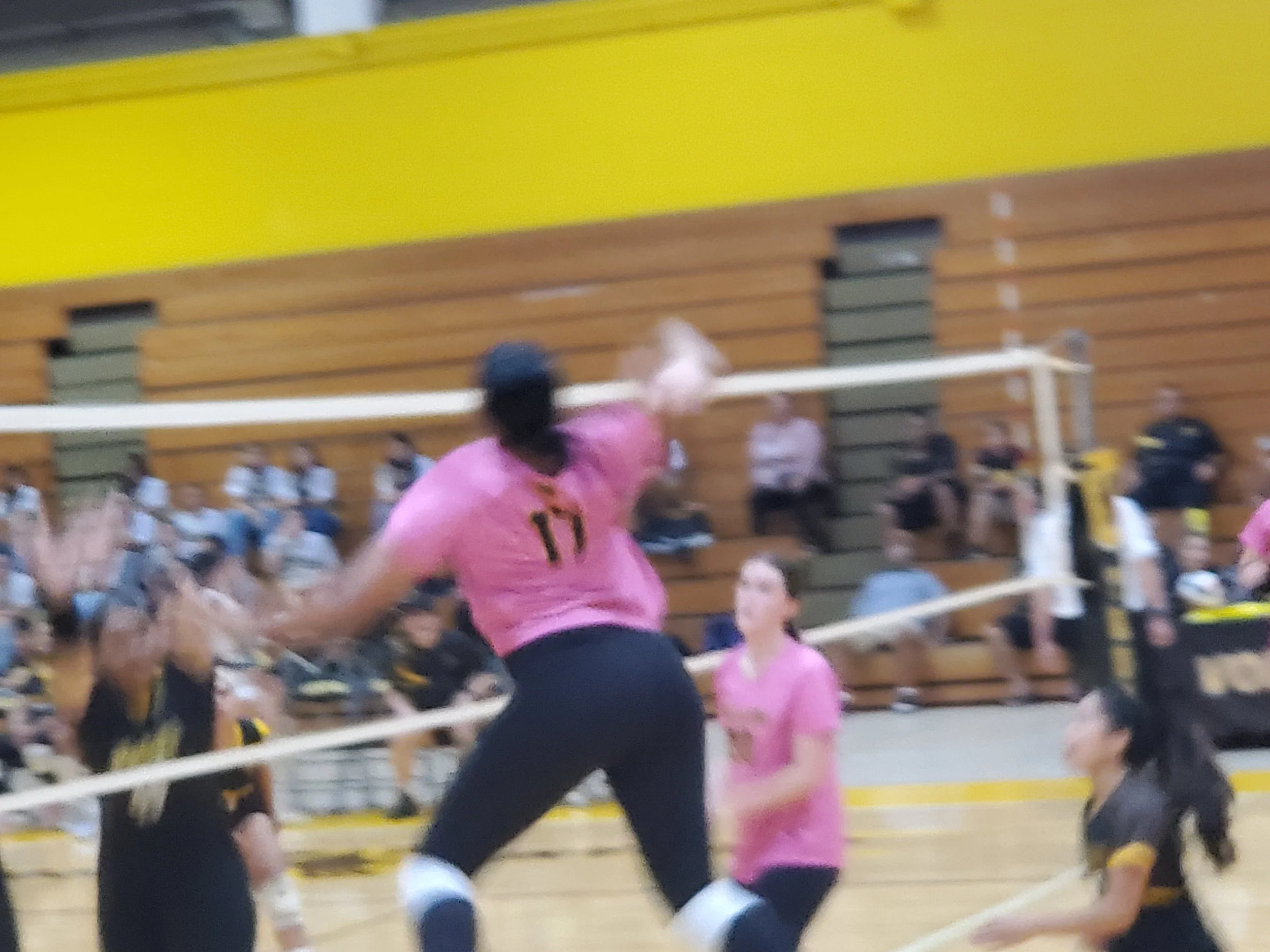 20261015_181126.jpg
