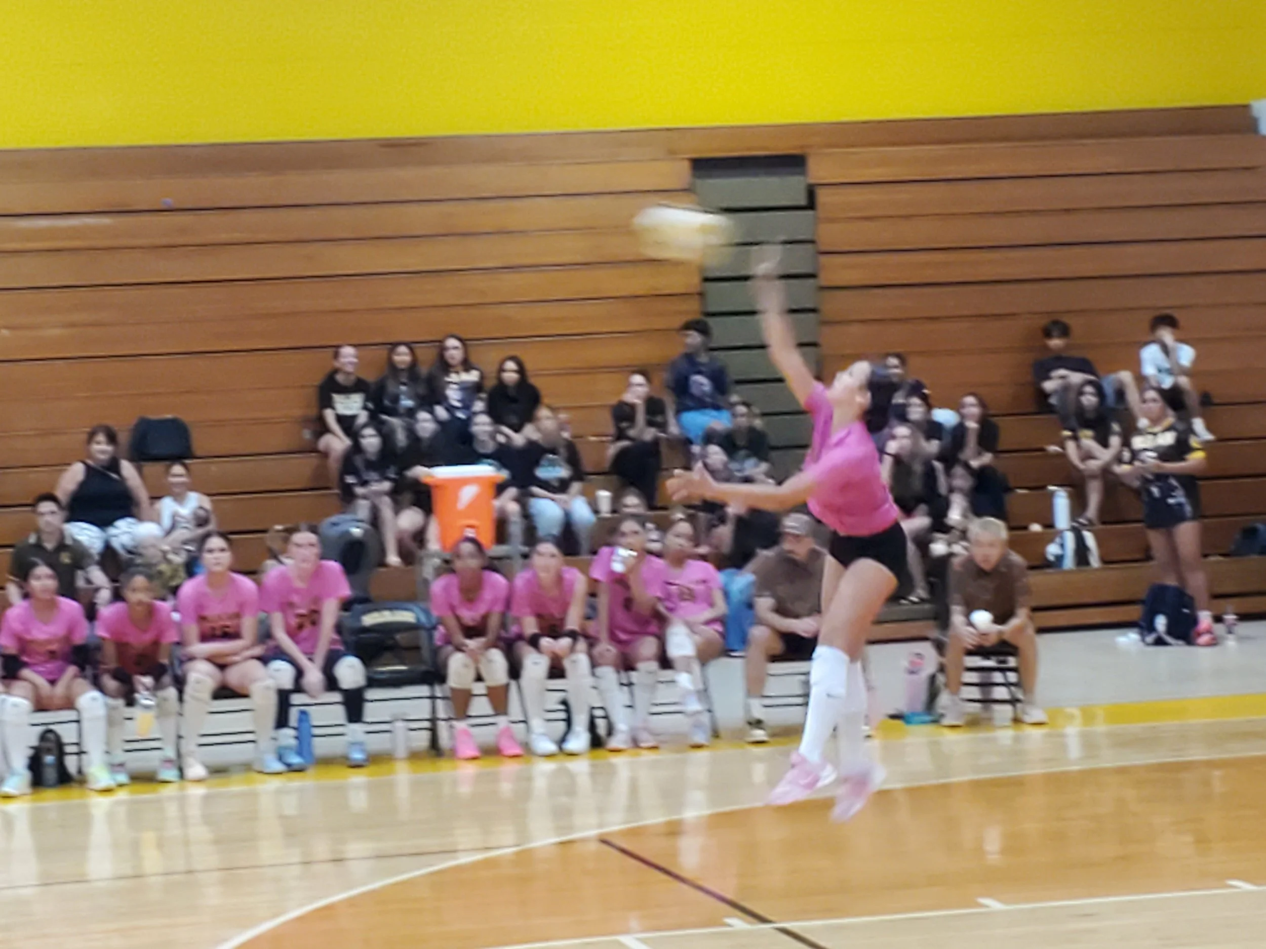20261015_192224.jpg