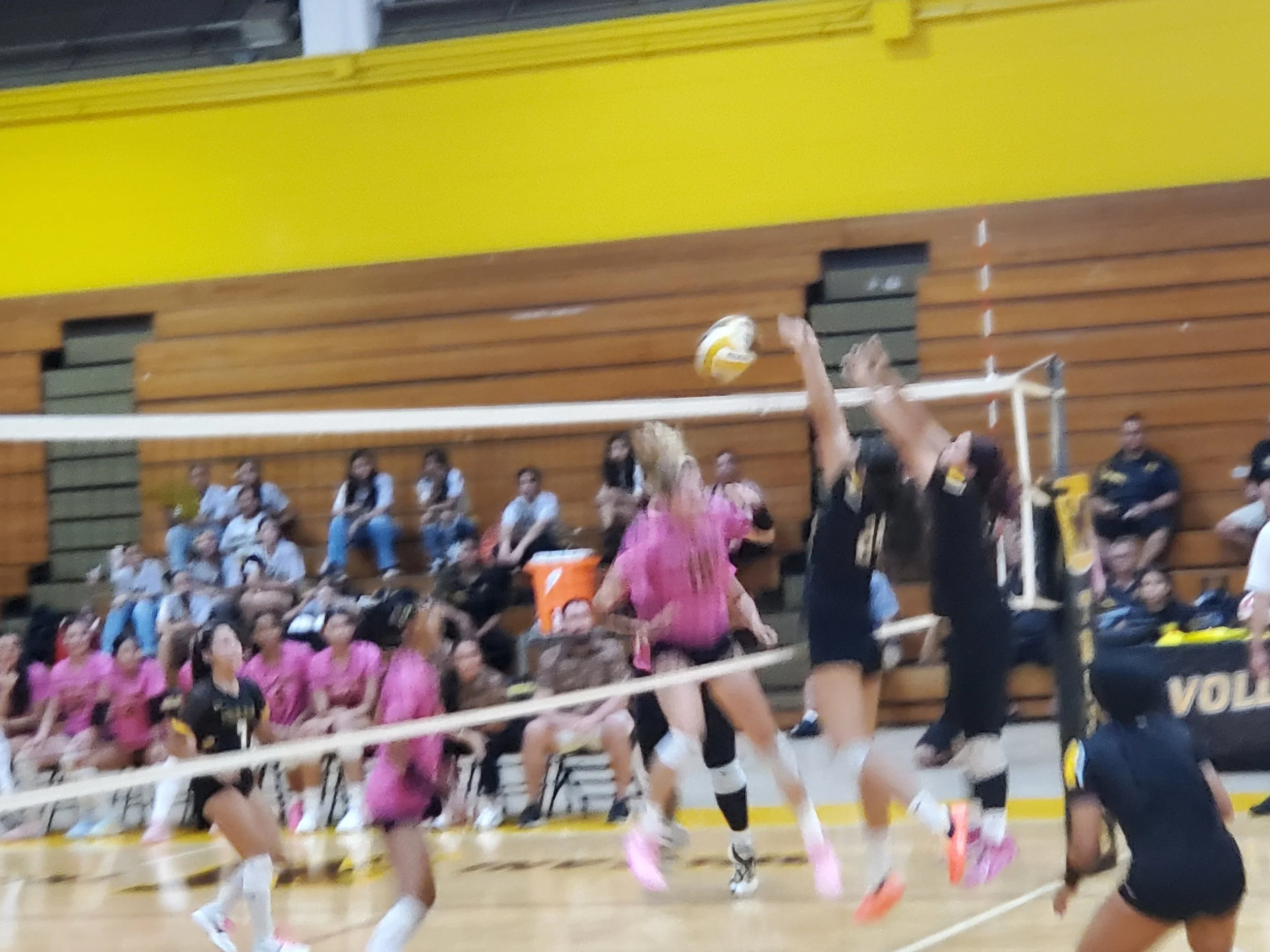 20261015_185202.jpg