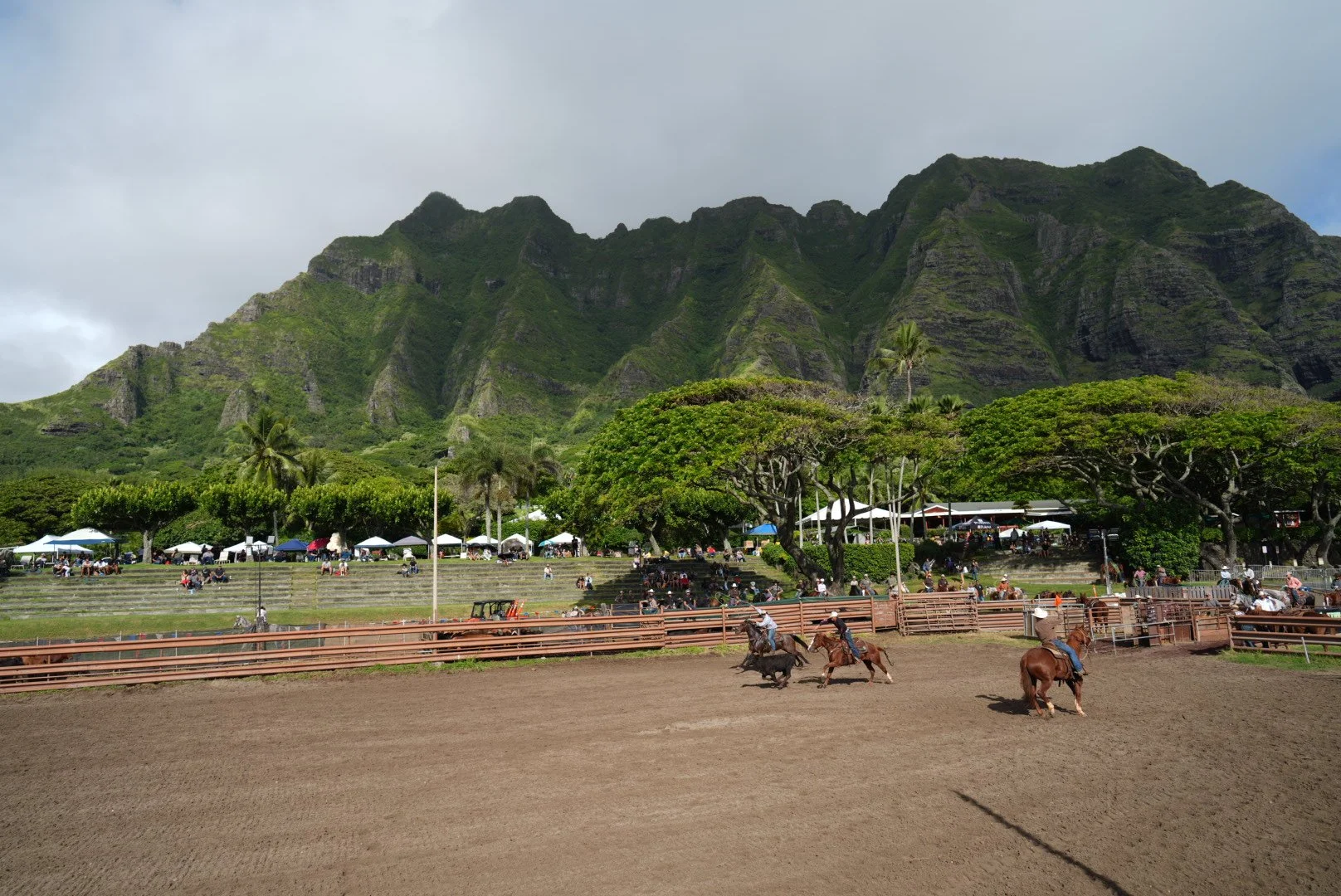 AR503110.jpg