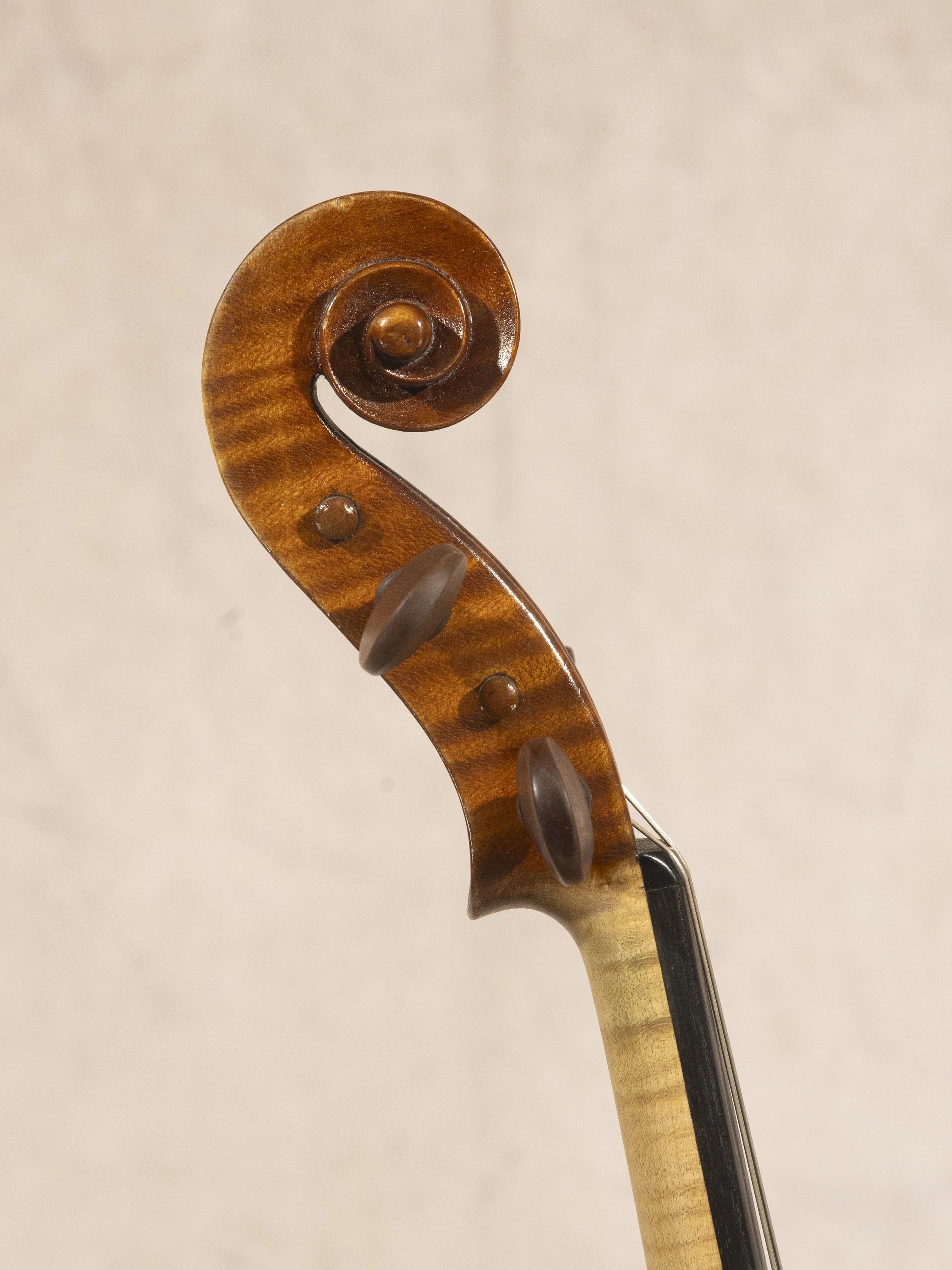 30-781(c) scroll.jpg