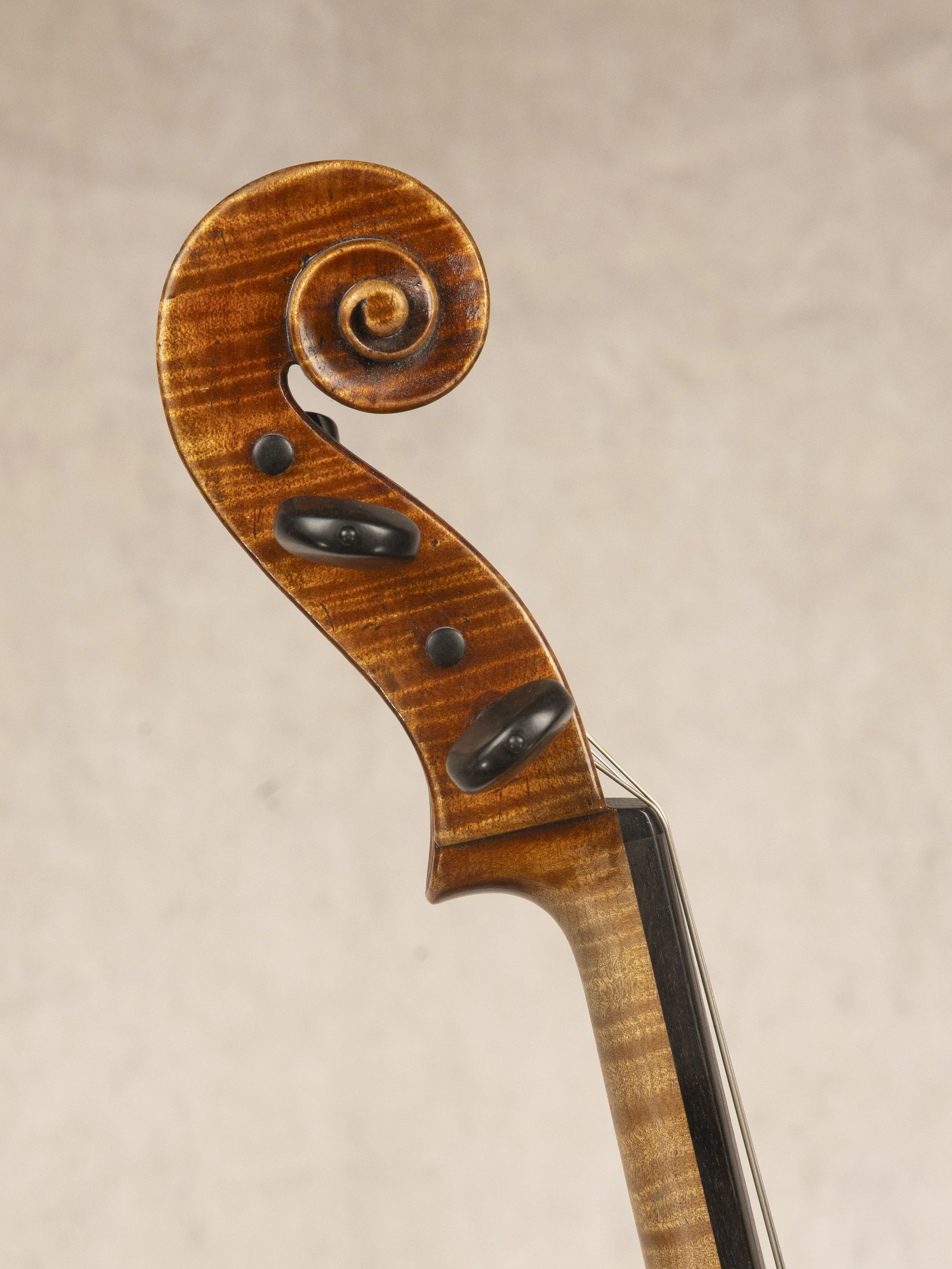 19-119(c) scroll.jpg