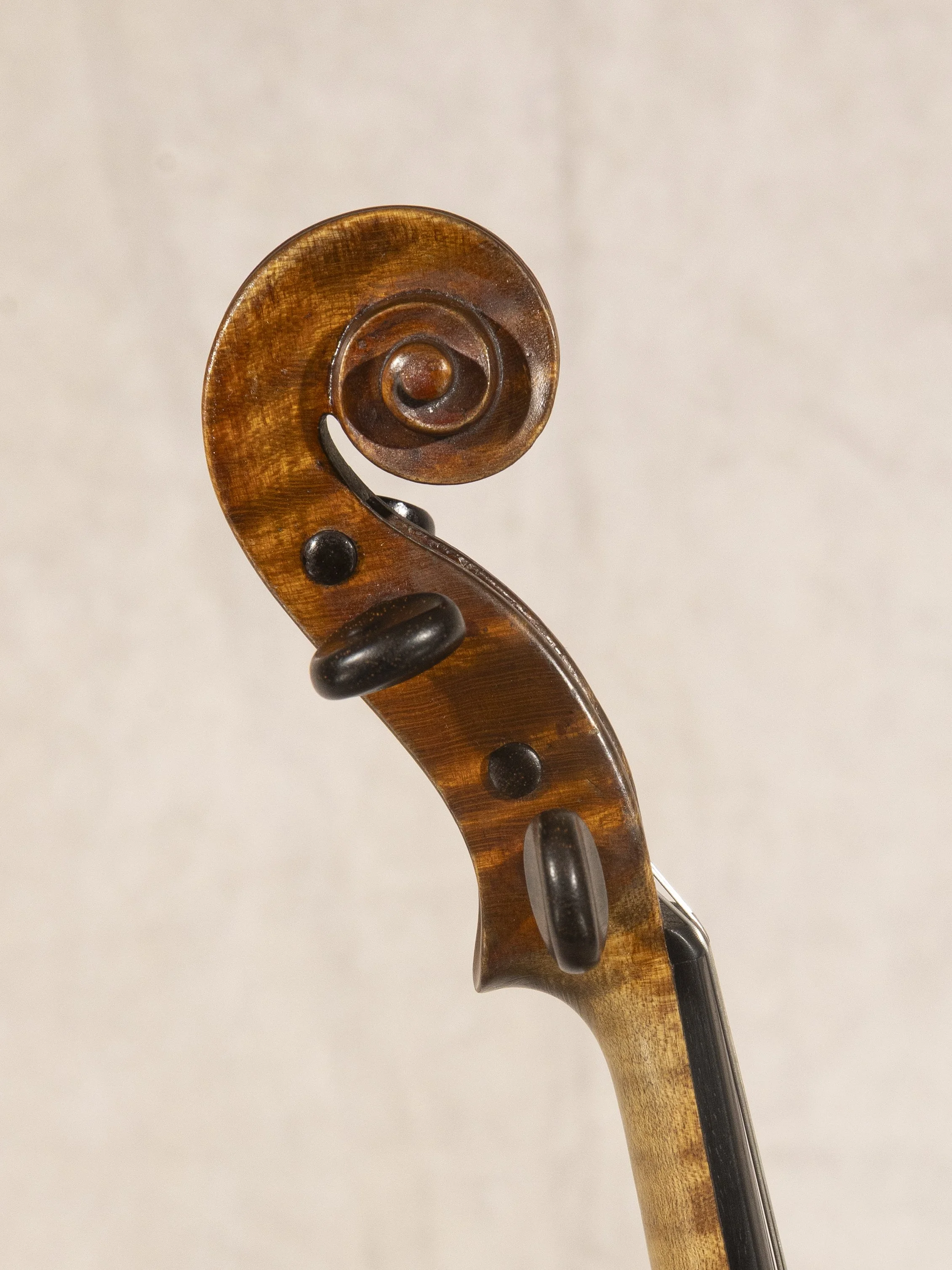 60-894(c) scroll.jpg