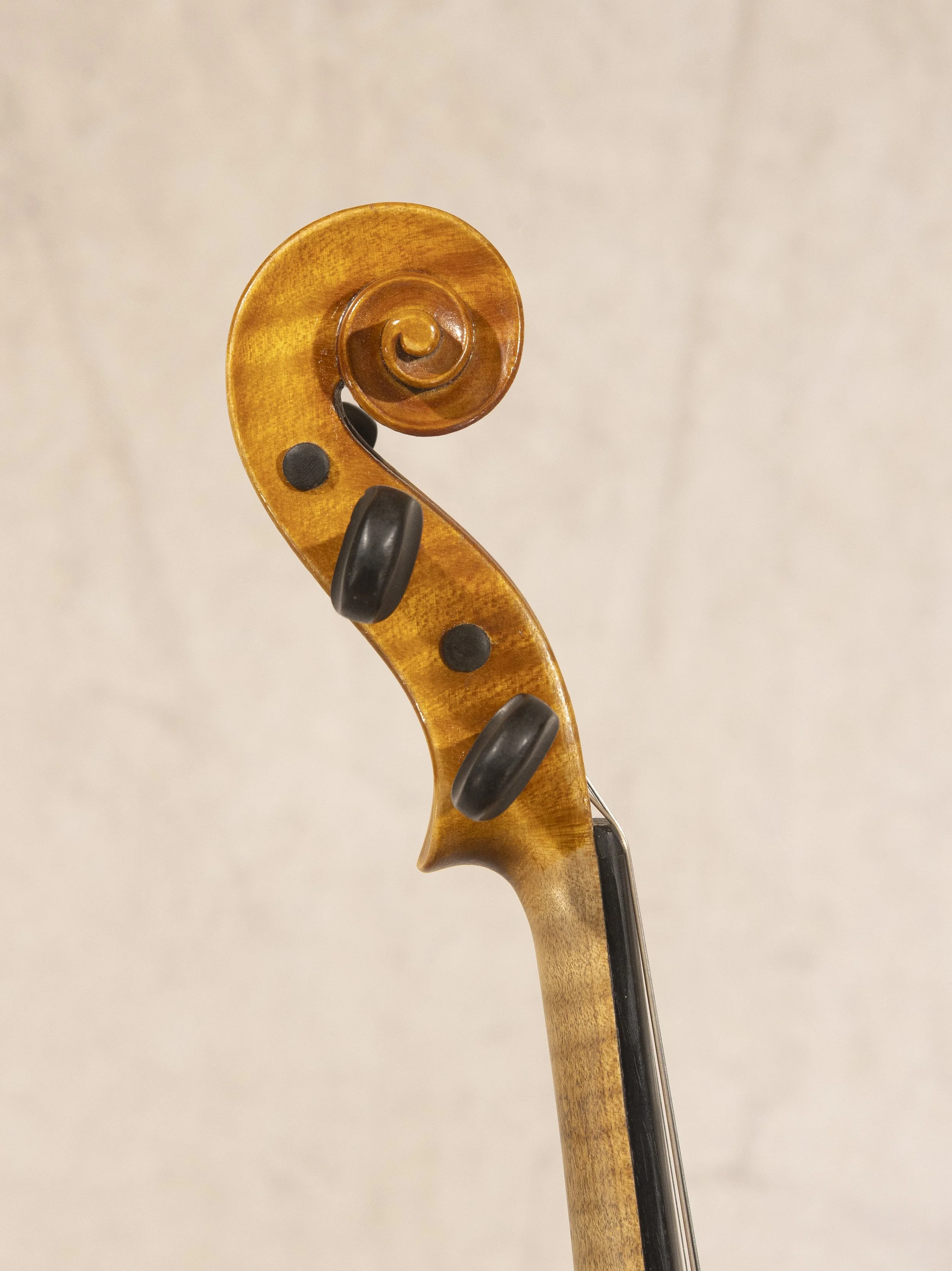 15-449(c) scroll.jpg