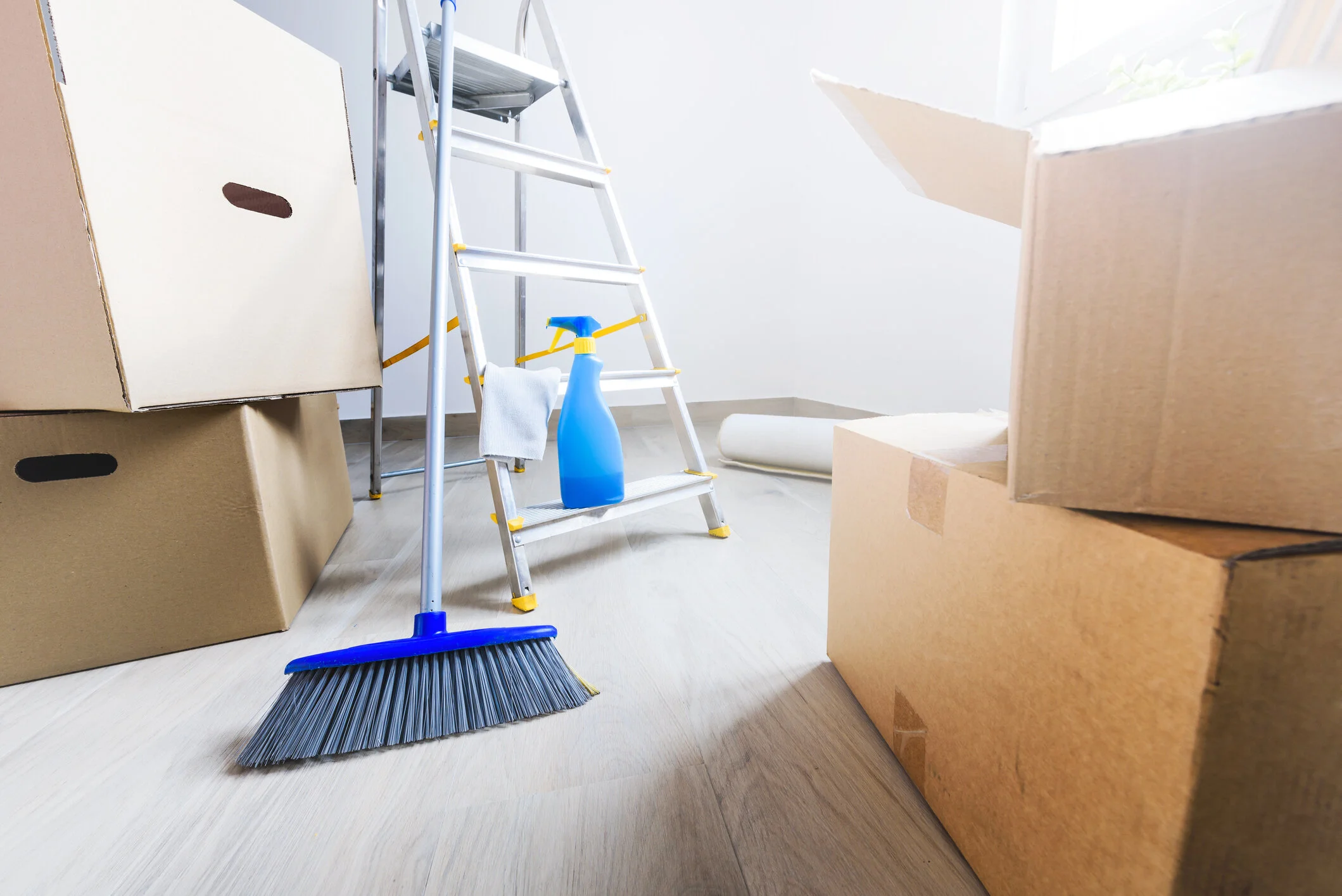 Move in/out Cleaning