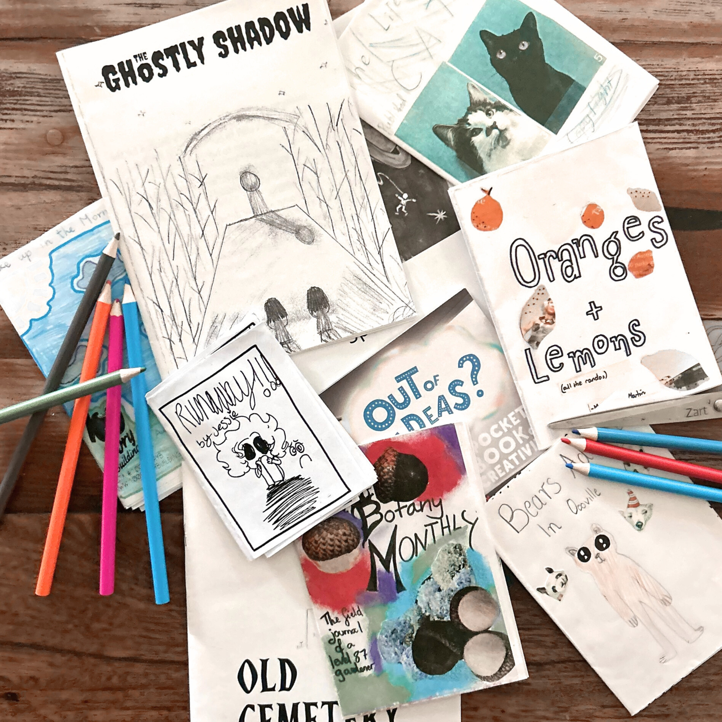 Zine Lab: Paper Protest - Autumn School Holiday Program 2026