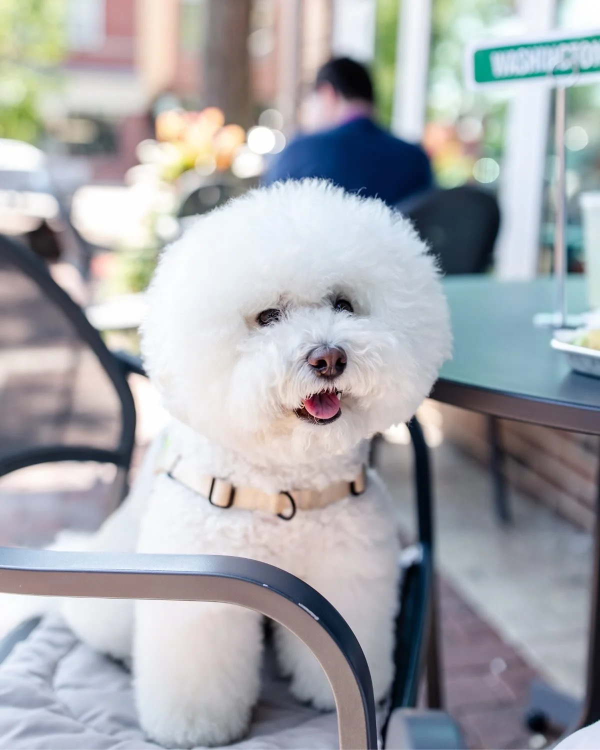 Double-tap if you&rsquo;re ready for patio season. 

100 days until the official start of summer, who&rsquo;s counting down with us?