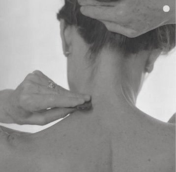 Gua Sha Tool