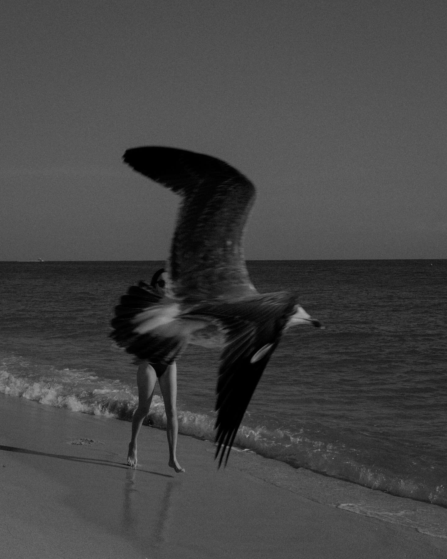 Once in Miami, where seagulls were flying and I was running (not fast 😄)

@julia_v_photo took this picture of me and the bird, while testing #LeicaQ and I like how she captured the moment. Thanks Julia 🌊