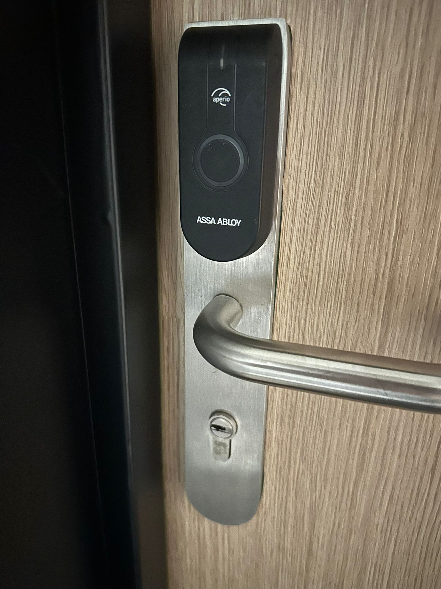 WhatsApp Image 2024-01-03 at 16.35.45.jpeg