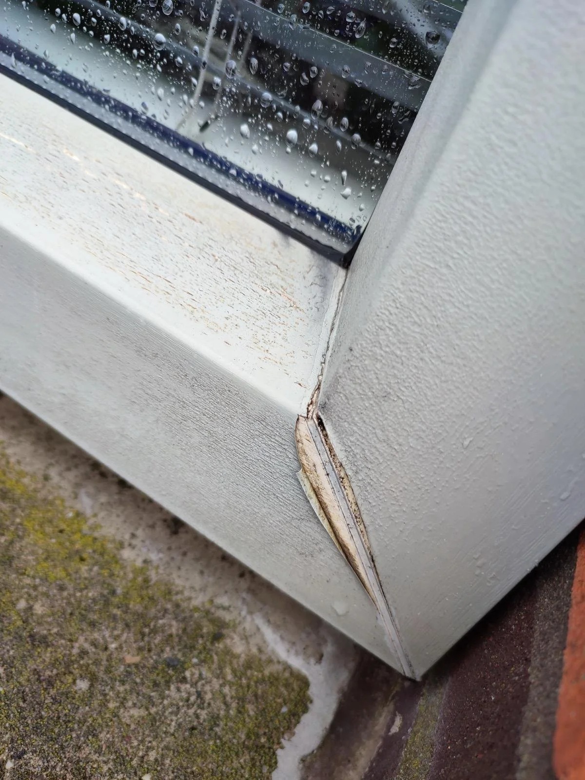 WhatsApp Image 2026-03-27 at 06.54.48.jpeg