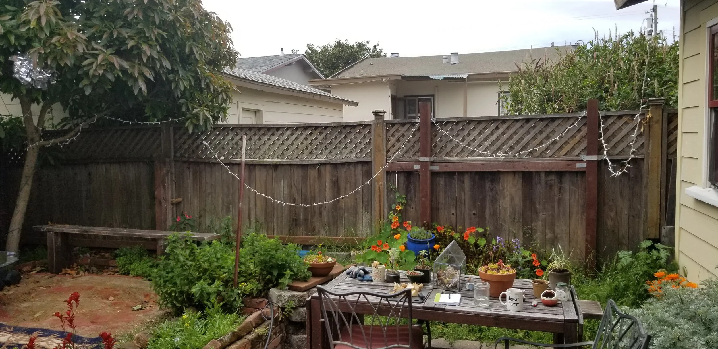 Backyard Birdcage