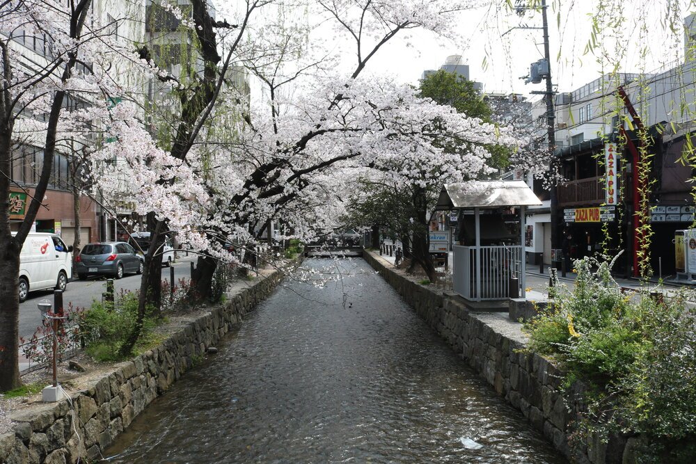 IMG_8399.jpeg