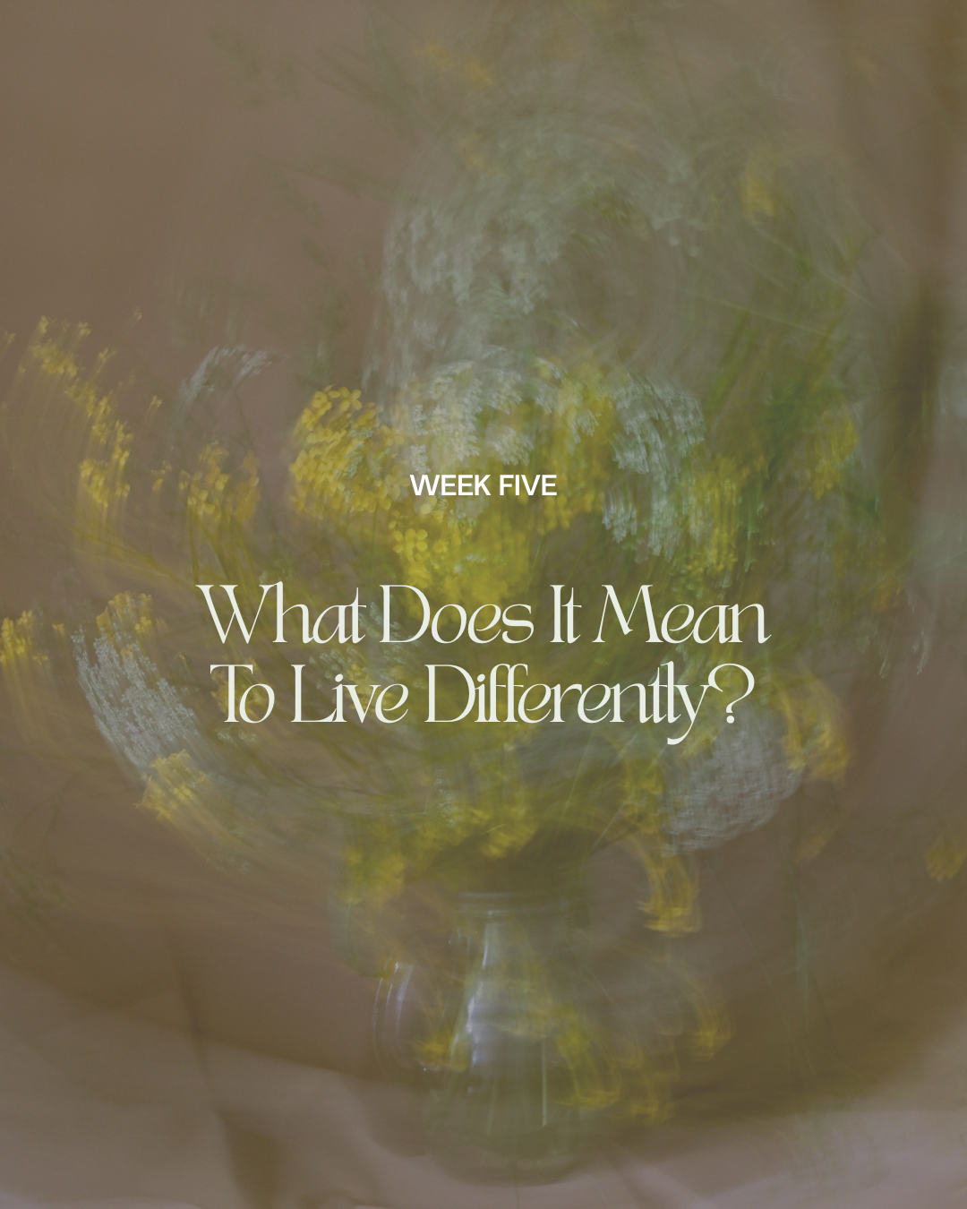 Week Five: What Does It Mean To Live Differently?