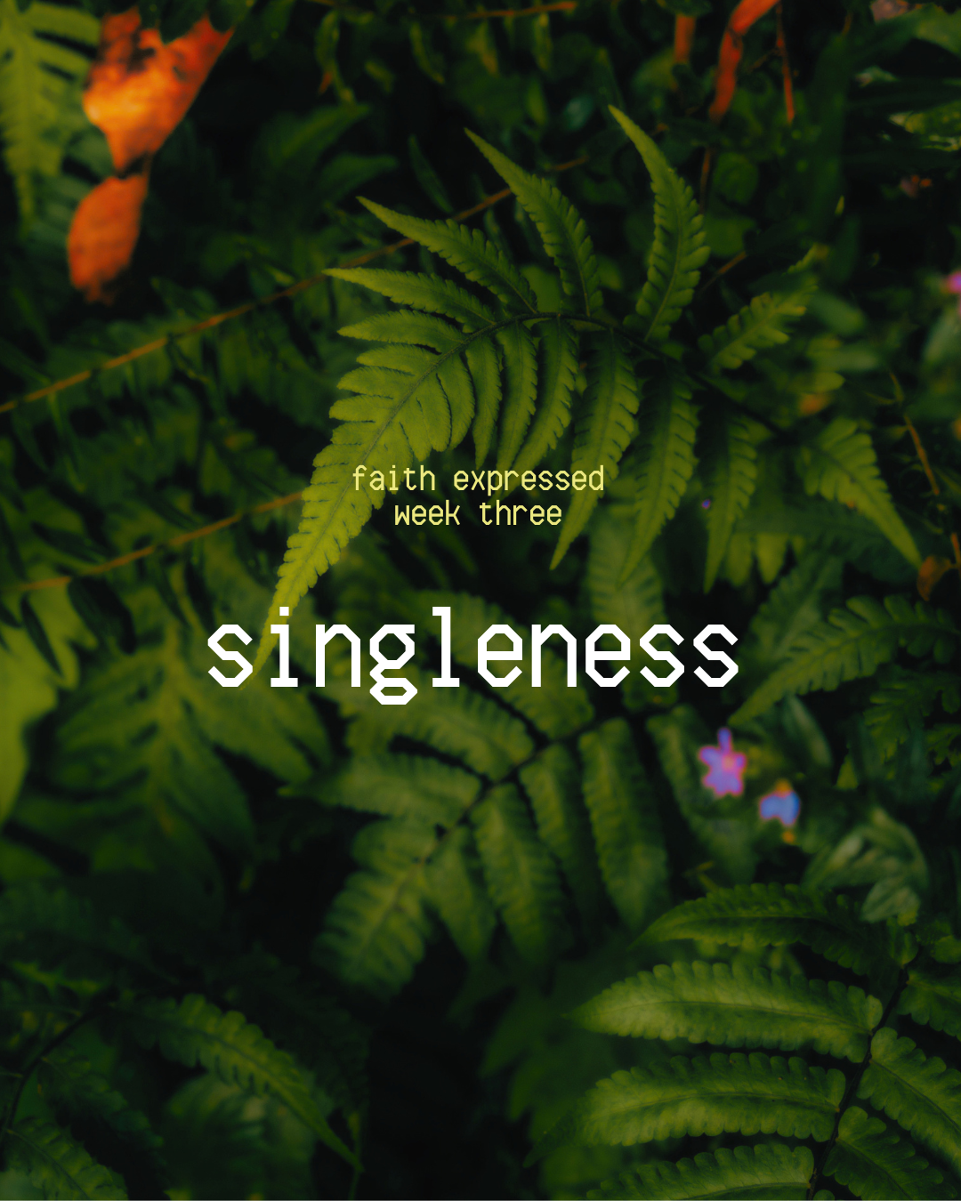 Week Three: Singleness