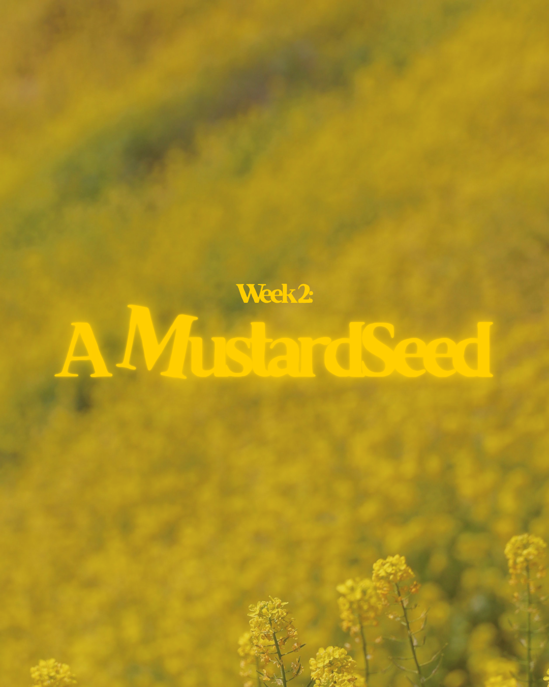 Week 2: A Mustard Seed